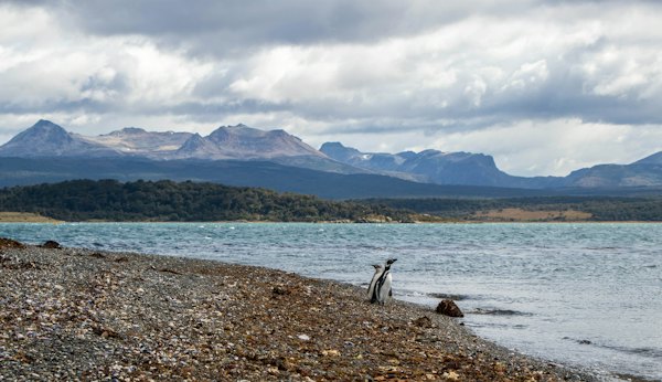 Person in gray jacket sitting on rock near body of water during daytime — Ushuaia & Tierra del Fuego, Argentina