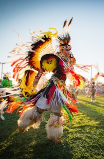 man in yellow red and blue feather costume standing on green grass field during daytime