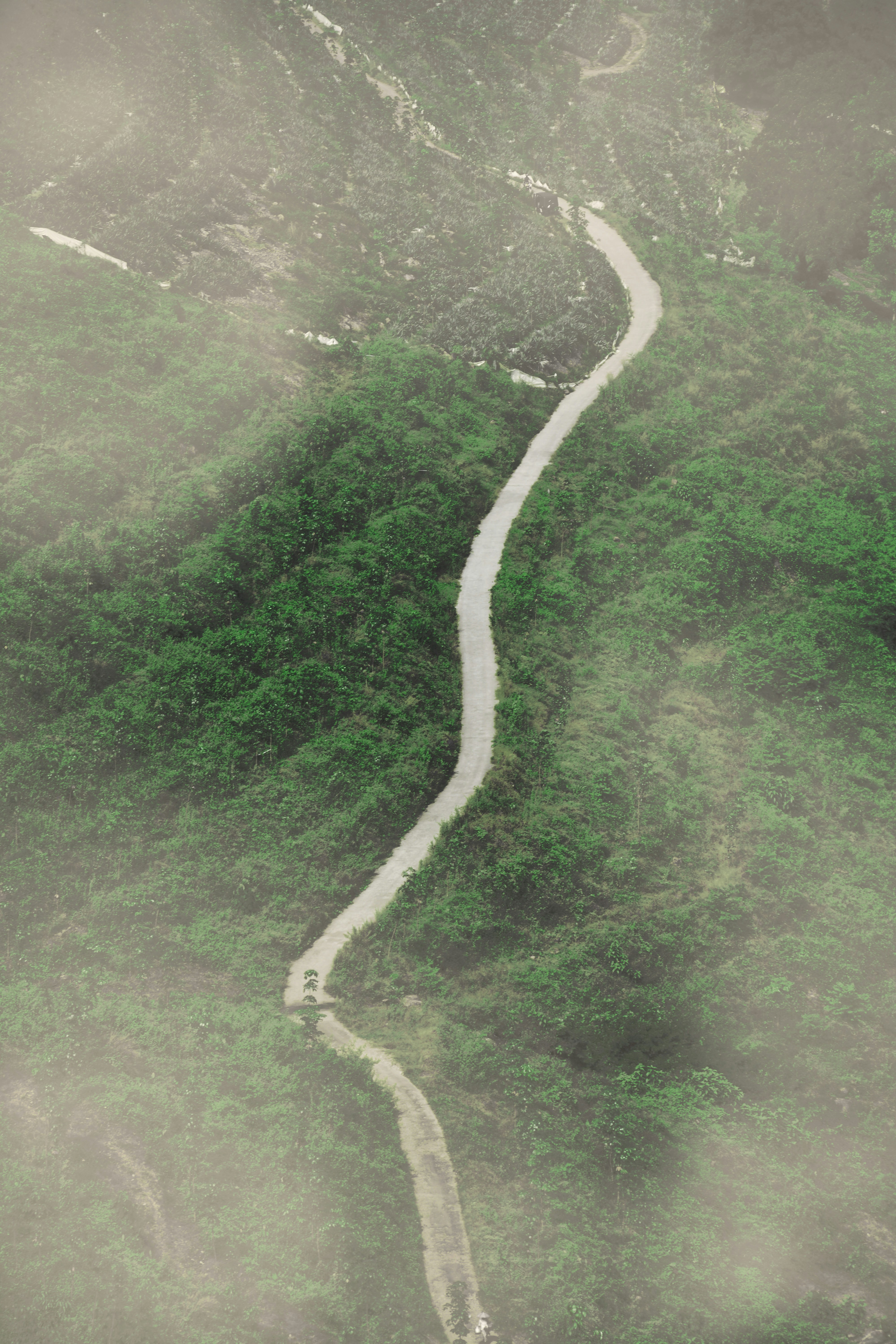 nature travel wallpaper, wallpaper, Composting on the Road: Best Methods for Travelers 3