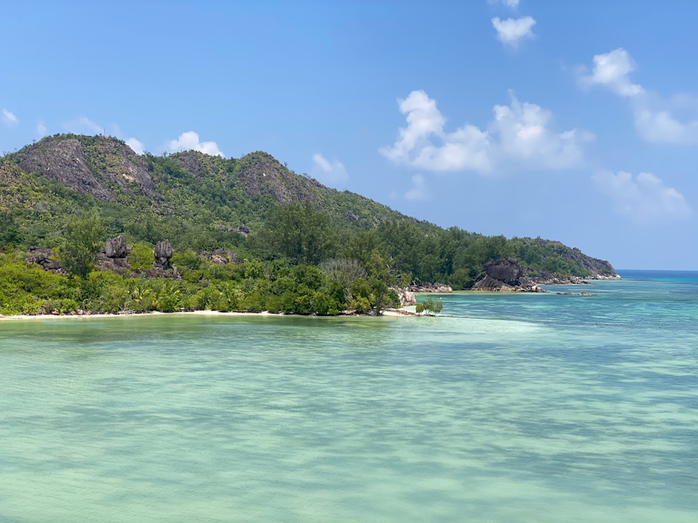 green trees on island during daytime