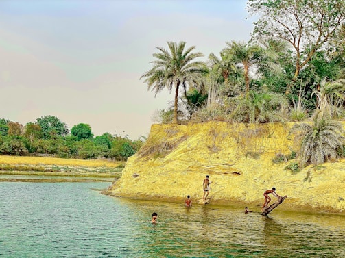 A candid shot of children playing near a riverbank, framed by eucalyptus trees.