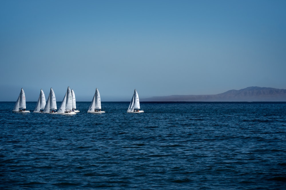 white sail boats on sea during daytime