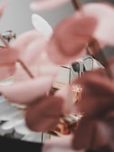 A blurred close-up of a perfume bottle, surrounded by pastel pink flowers. The bottle features a subtle label and elegant design, signifying a luxury brand. The soft focus on the flowers adds a dreamy, sophisticated feel.