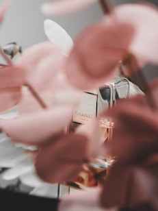 A blurred close-up of a perfume bottle, surrounded by pastel pink flowers. The bottle features a subtle label and elegant design, signifying a luxury brand. The soft focus on the flowers adds a dreamy, sophisticated feel.