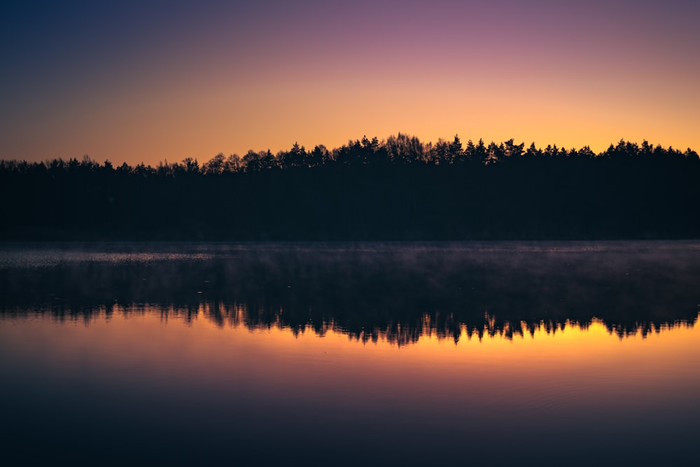 silhouette of trees near body of water during sunset