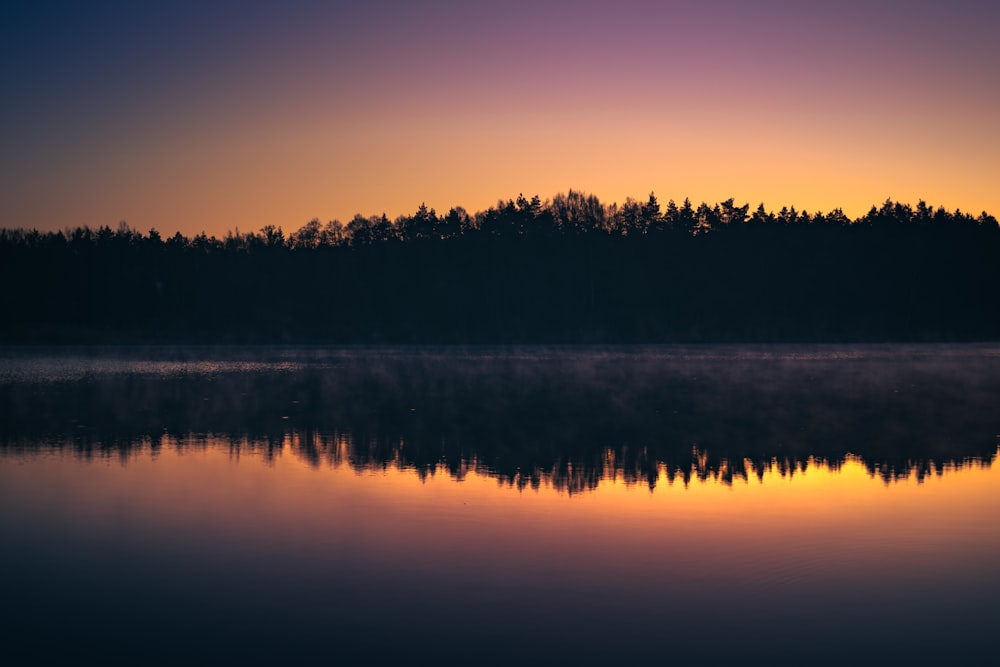 silhouette di alberi vicino allo specchio d'acqua durante il tramonto
