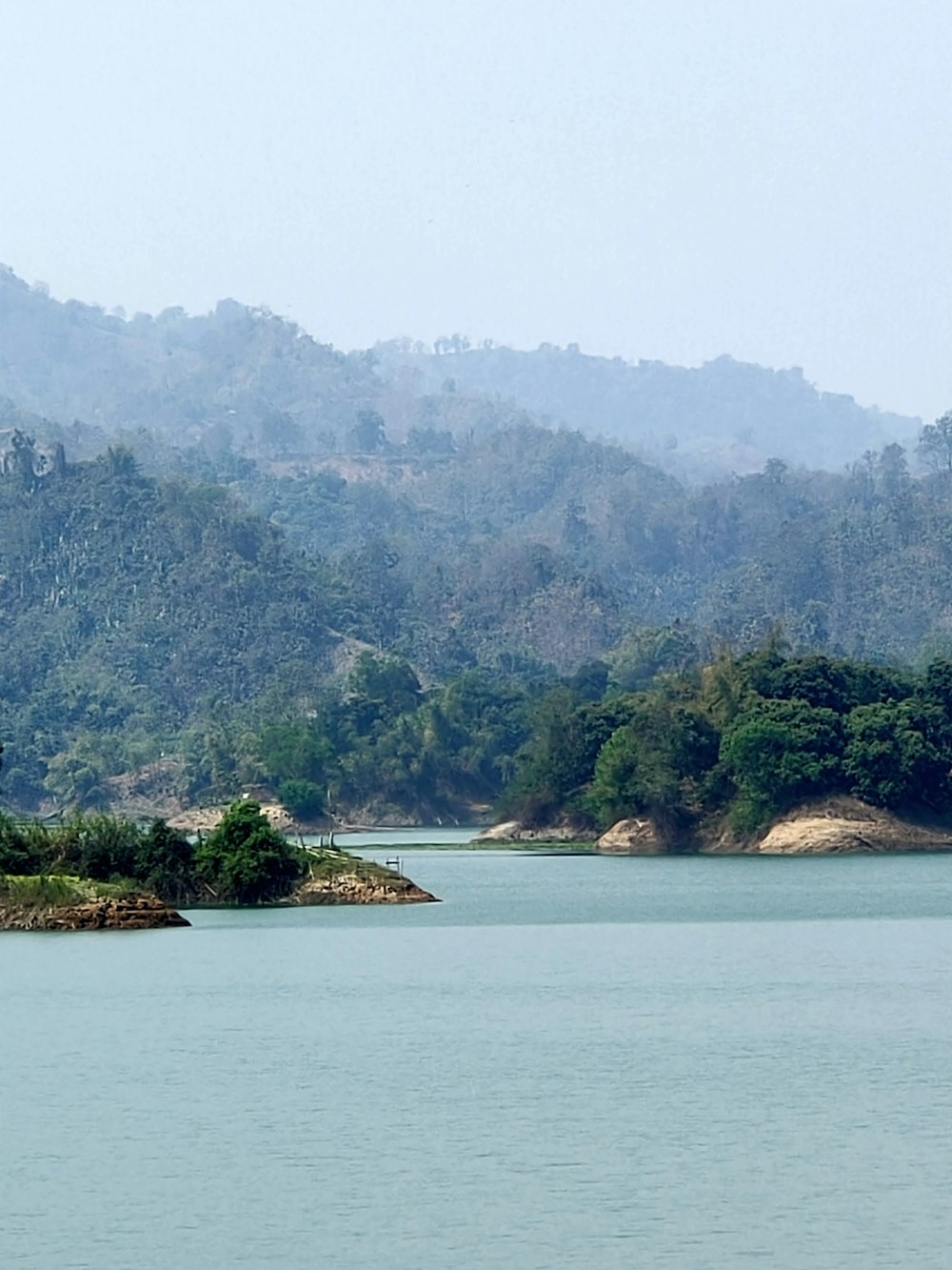 green trees near body of water during daytime