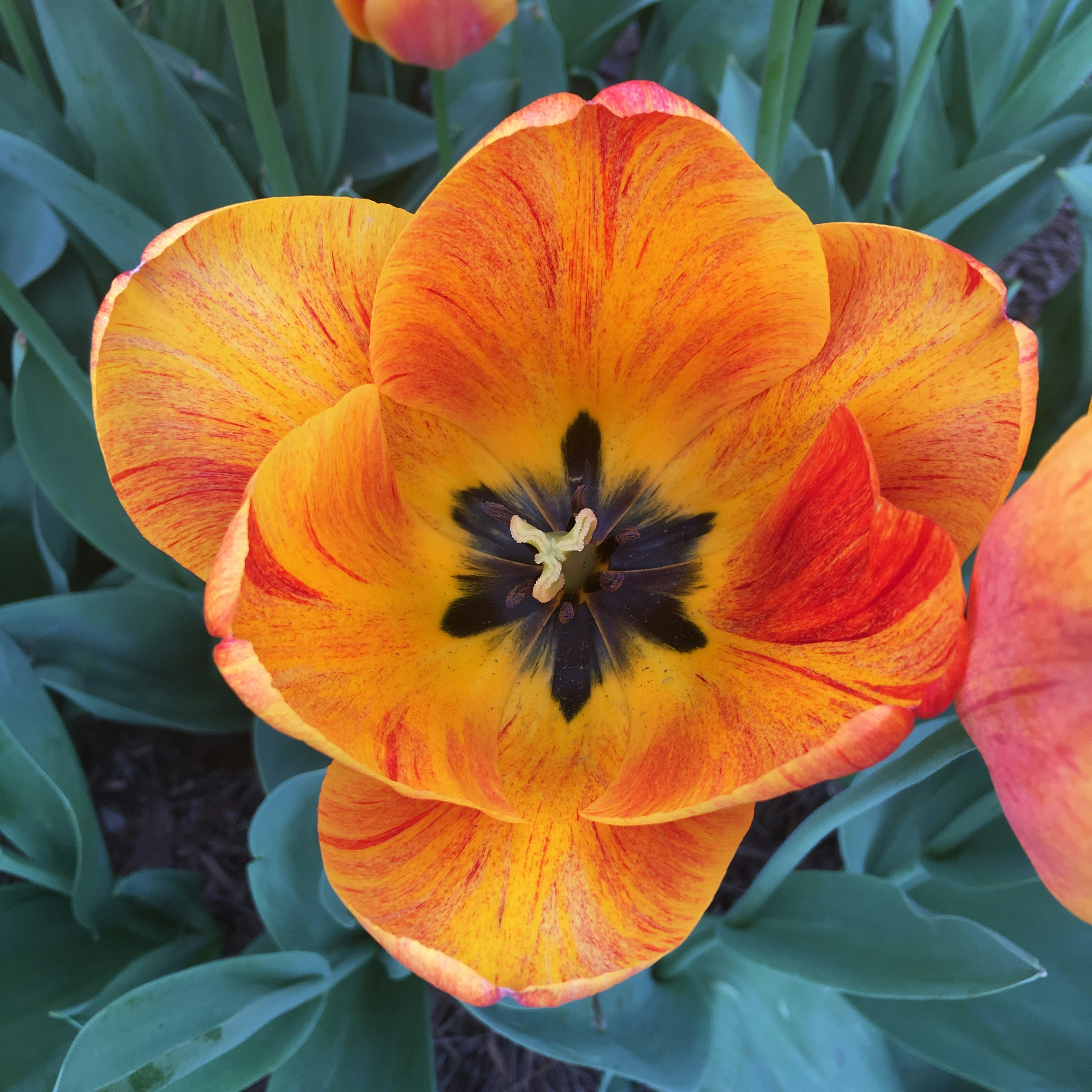 Photo by sandyhibbard