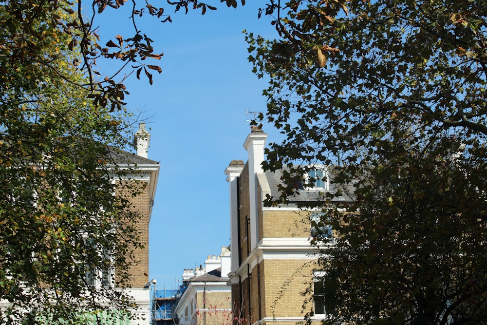 昼間の青空に映し出された茶色と白のコンクリートの建物
