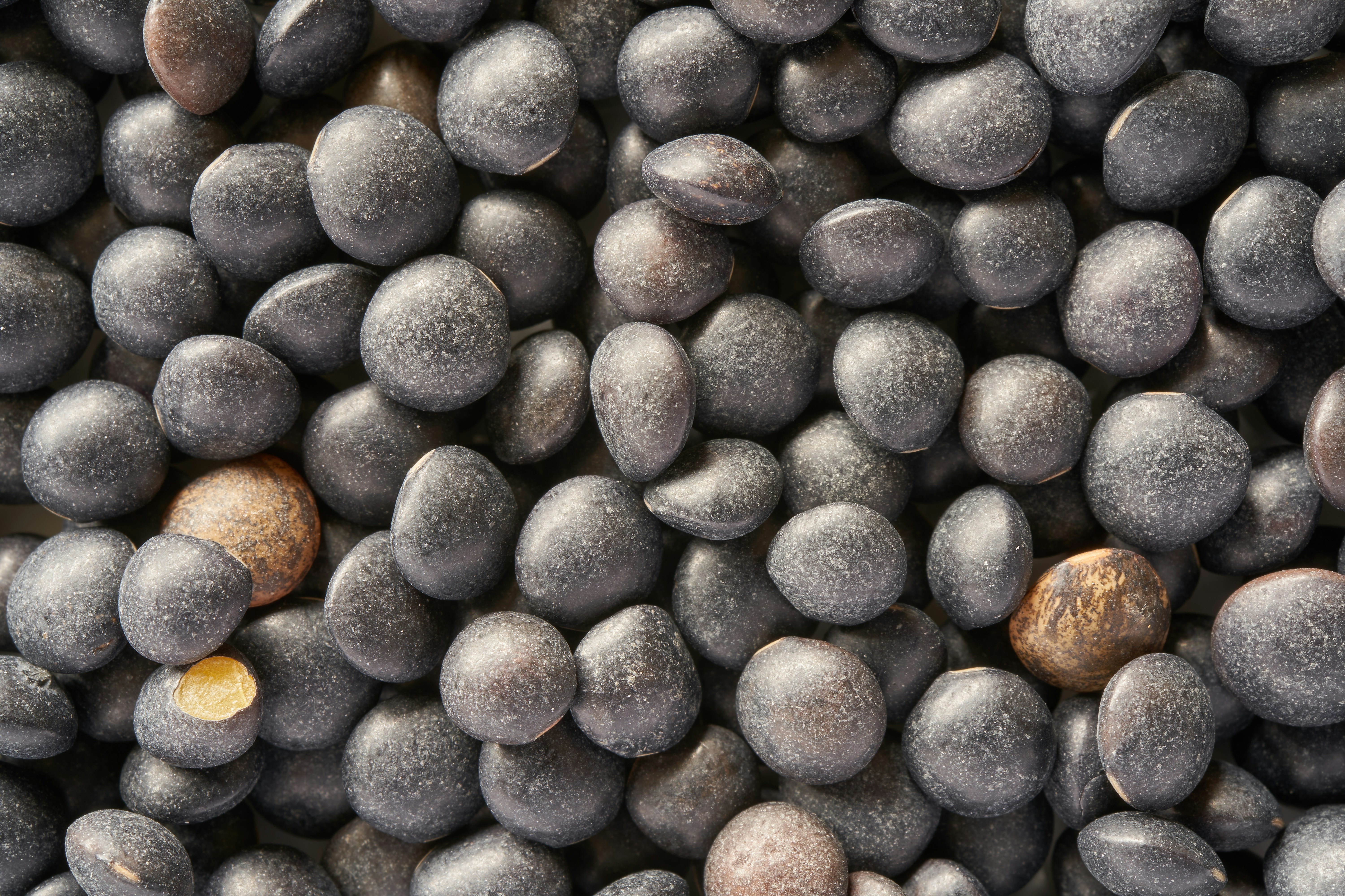 Featured image of post Python