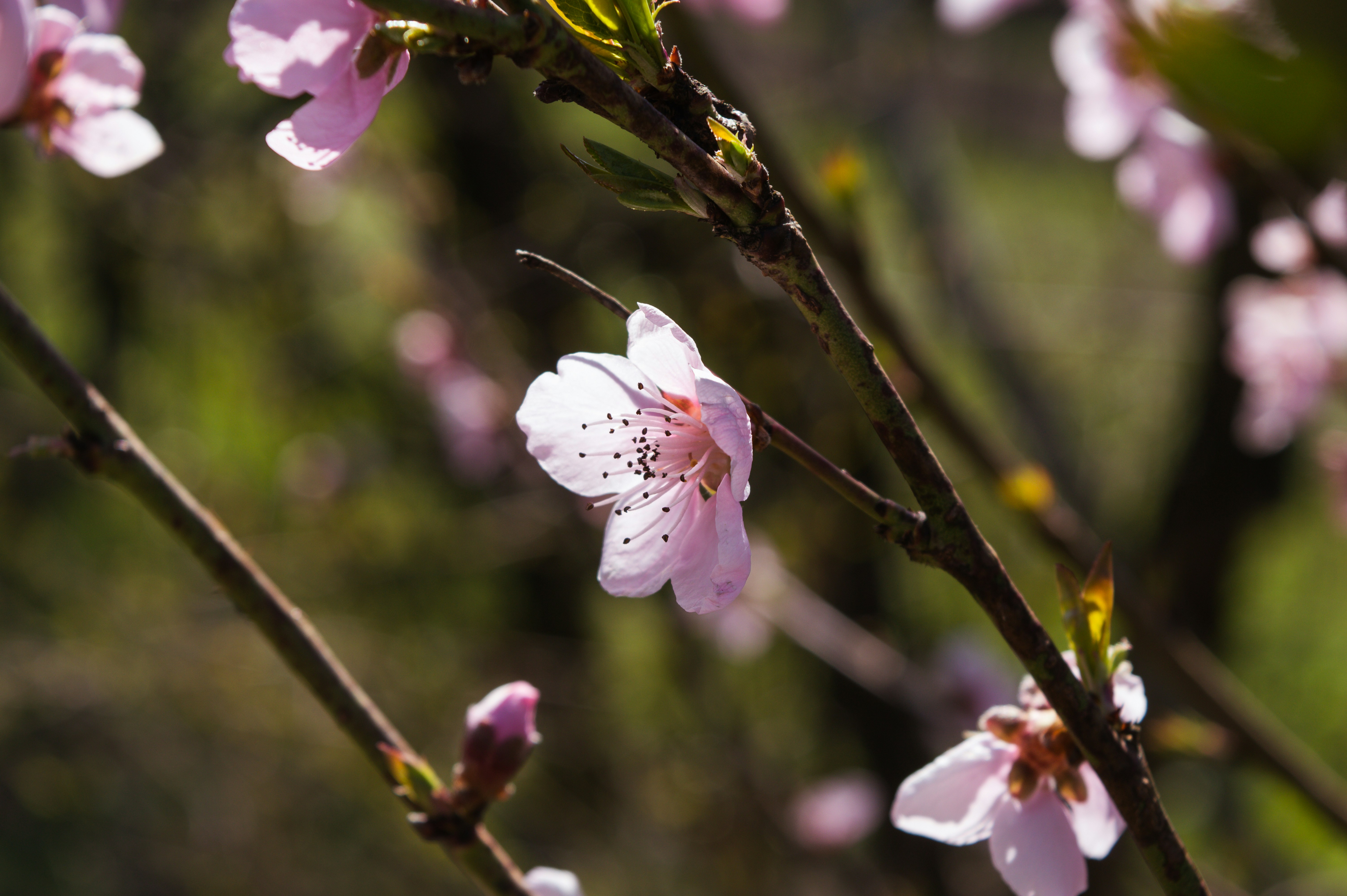 Photo by claudiumorut