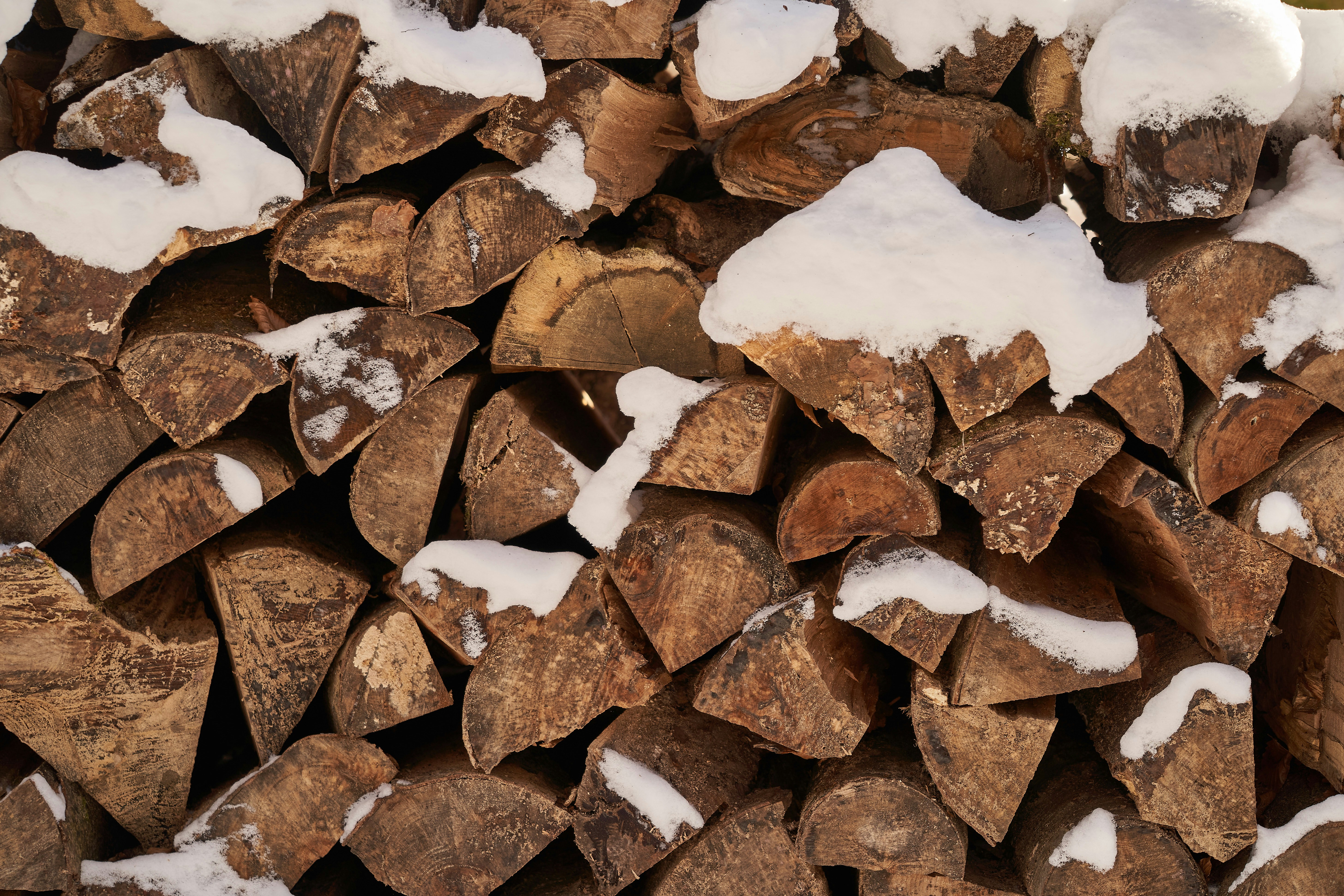 Photo by wolfgang_hasselmann