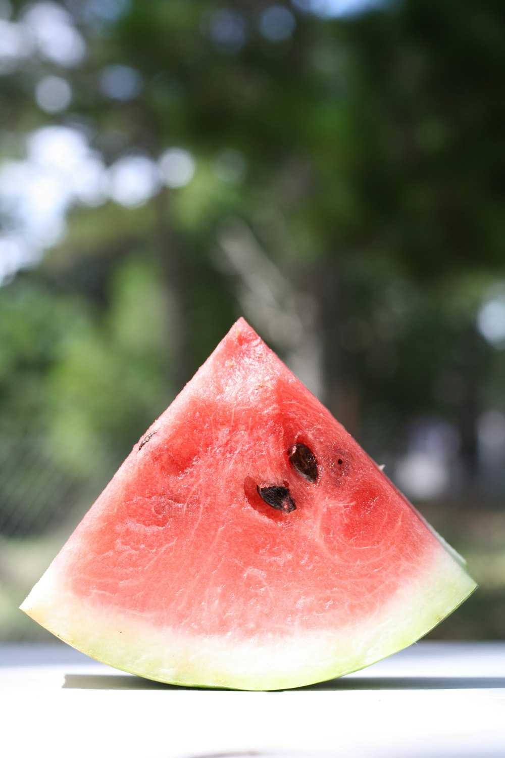 red sliced watermelon in tilt shift lens