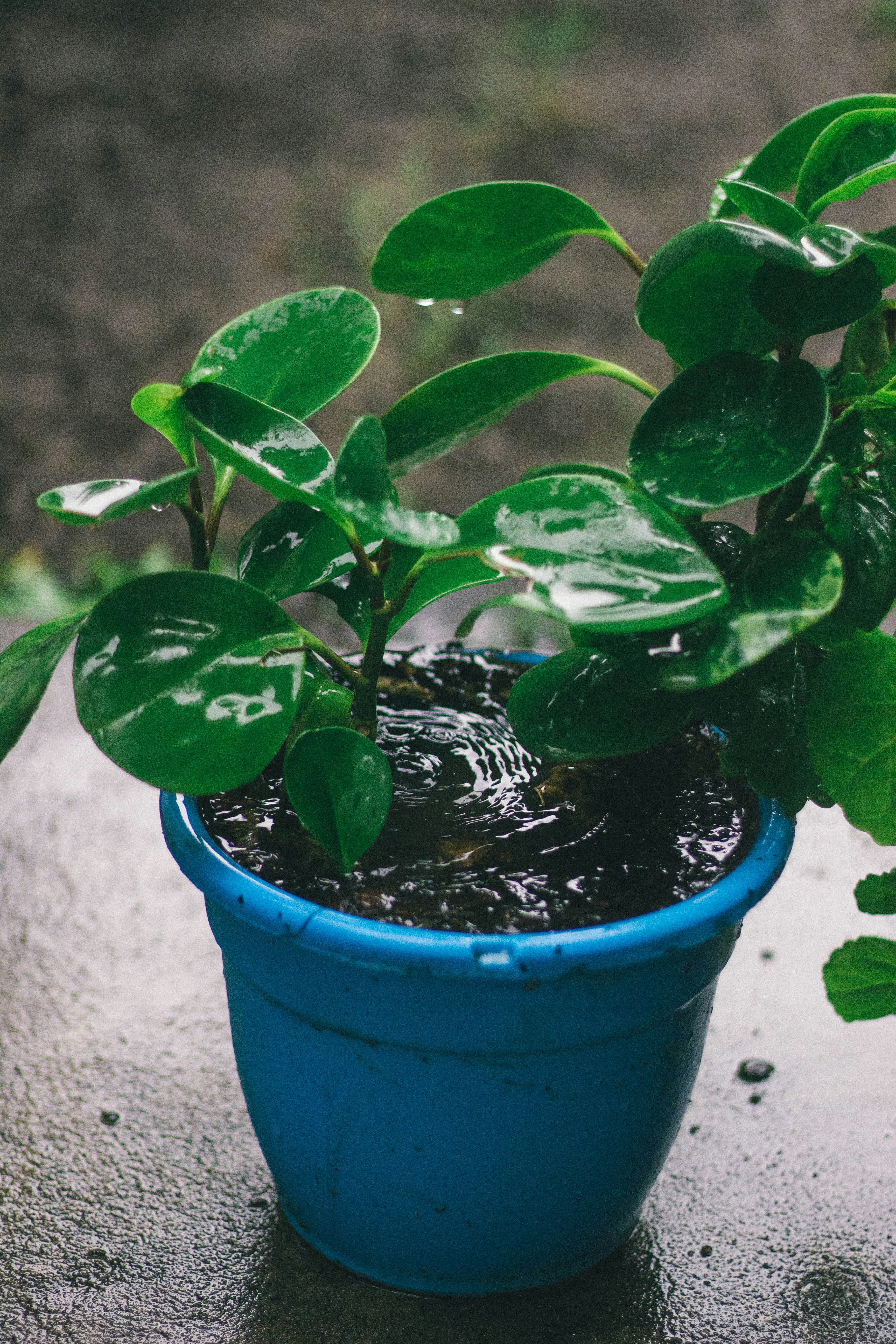 Photo by sysengineer