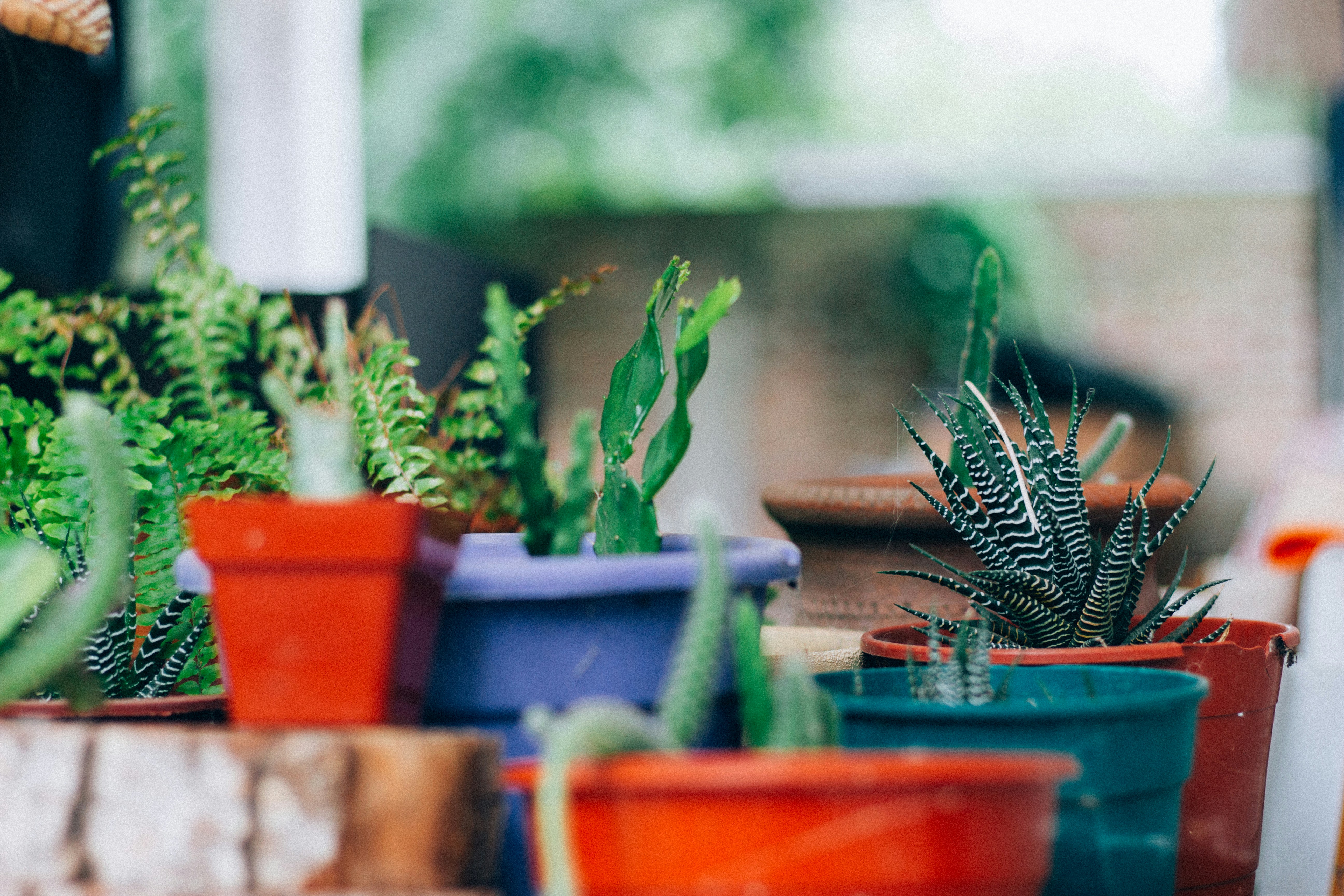 Photo by sysengineer