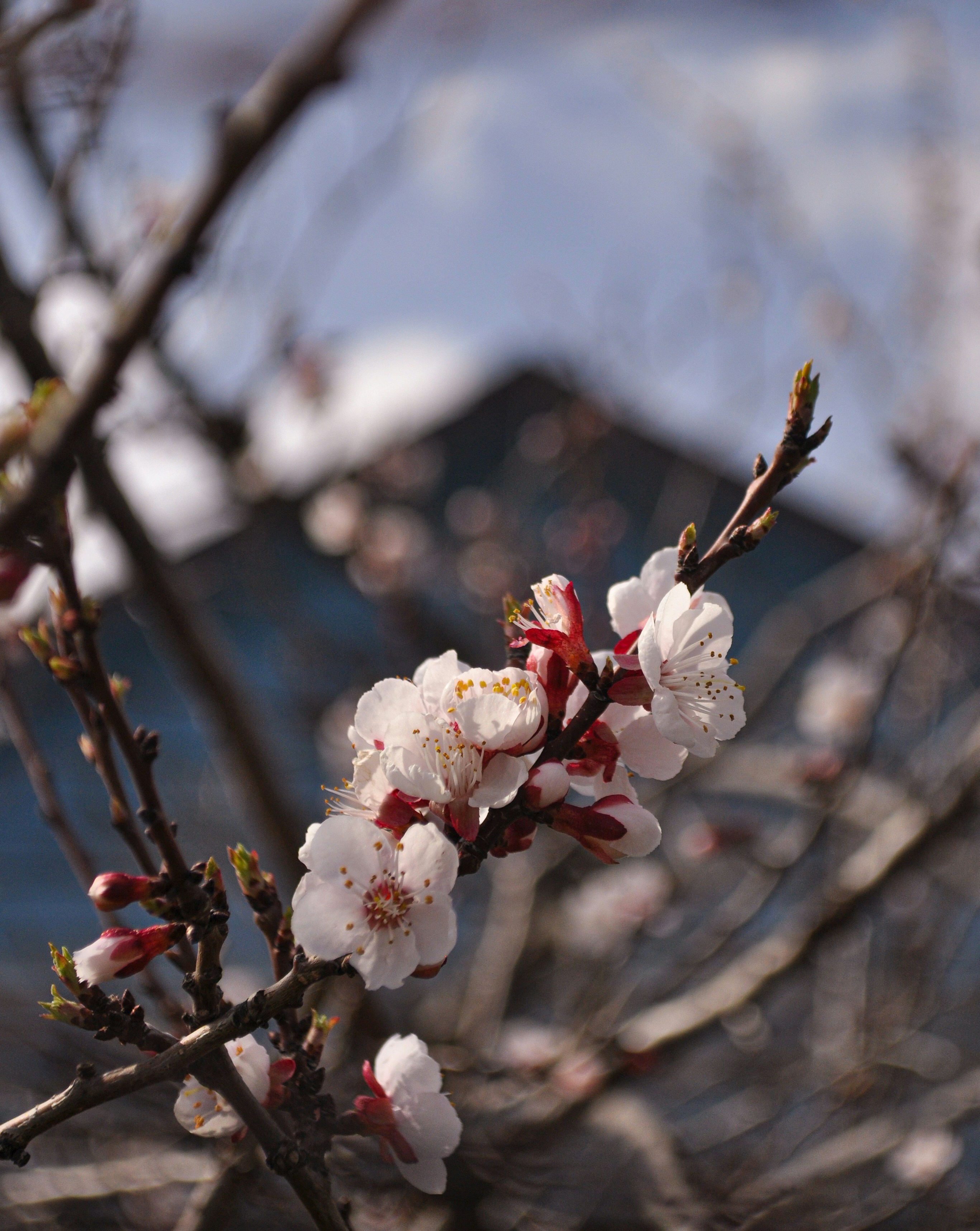 Photo by viidyak
