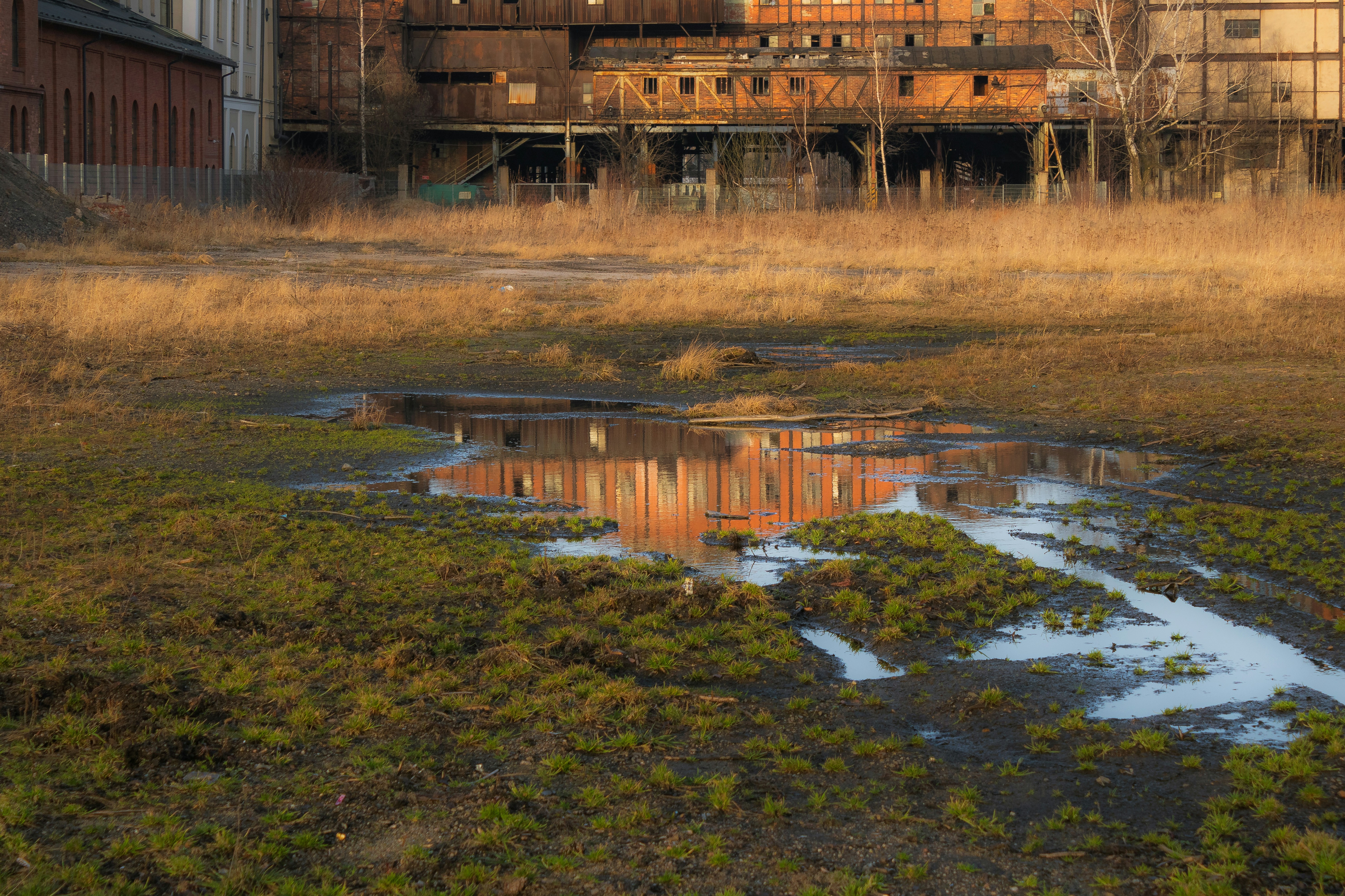brown wooden house on green grass field