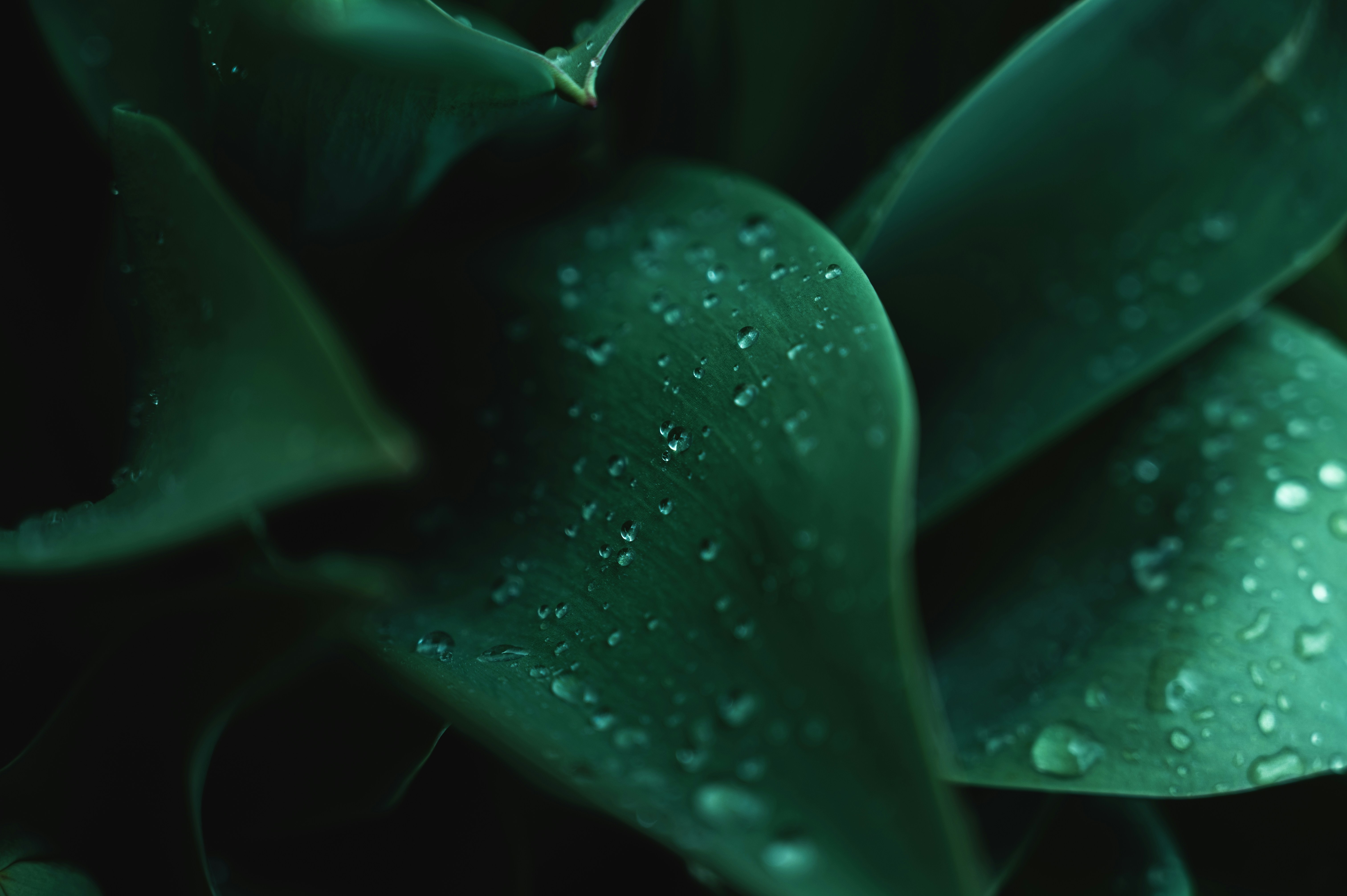 Photo by ryunosuke_kikuno