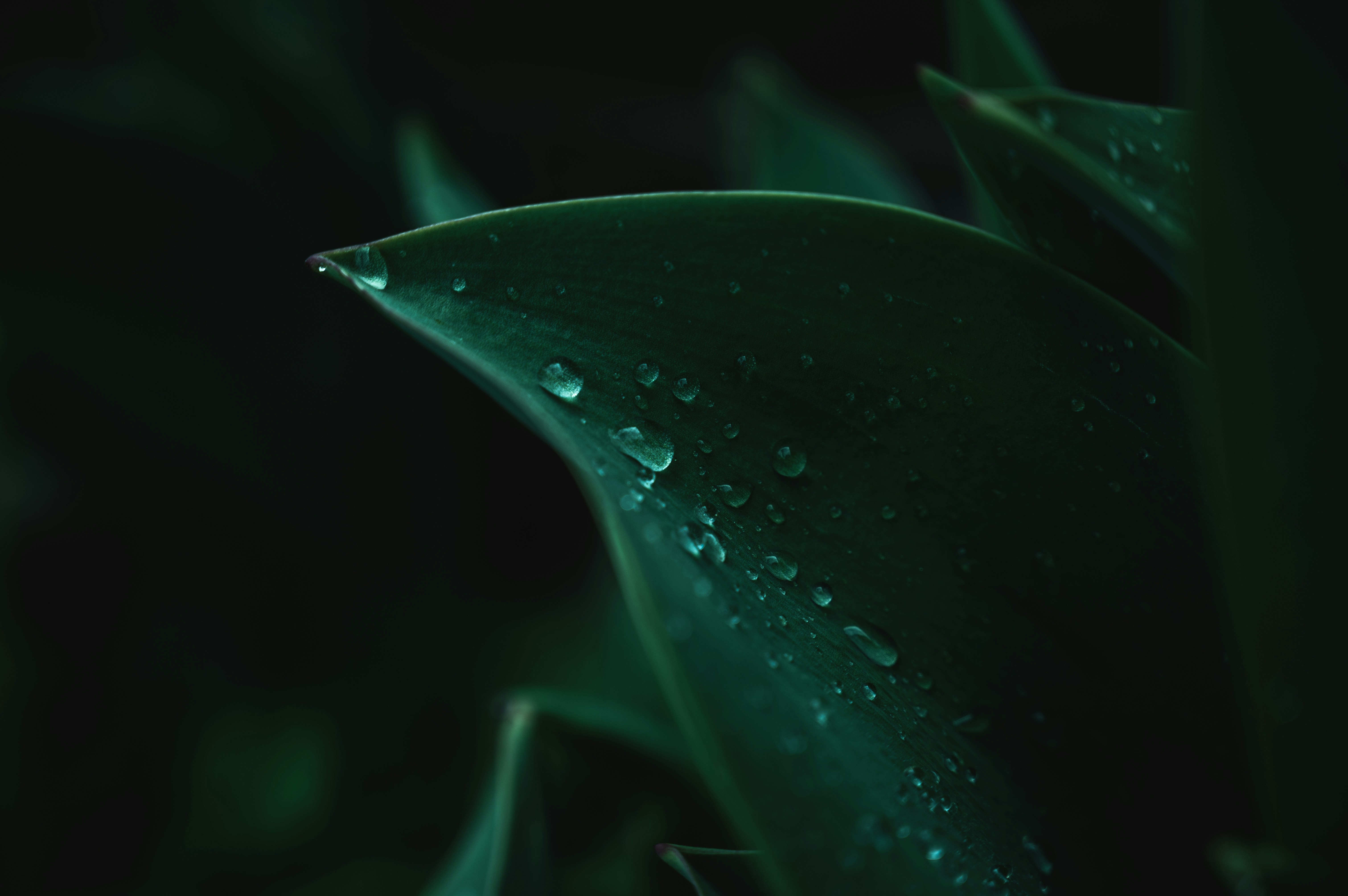 Photo by ryunosuke_kikuno