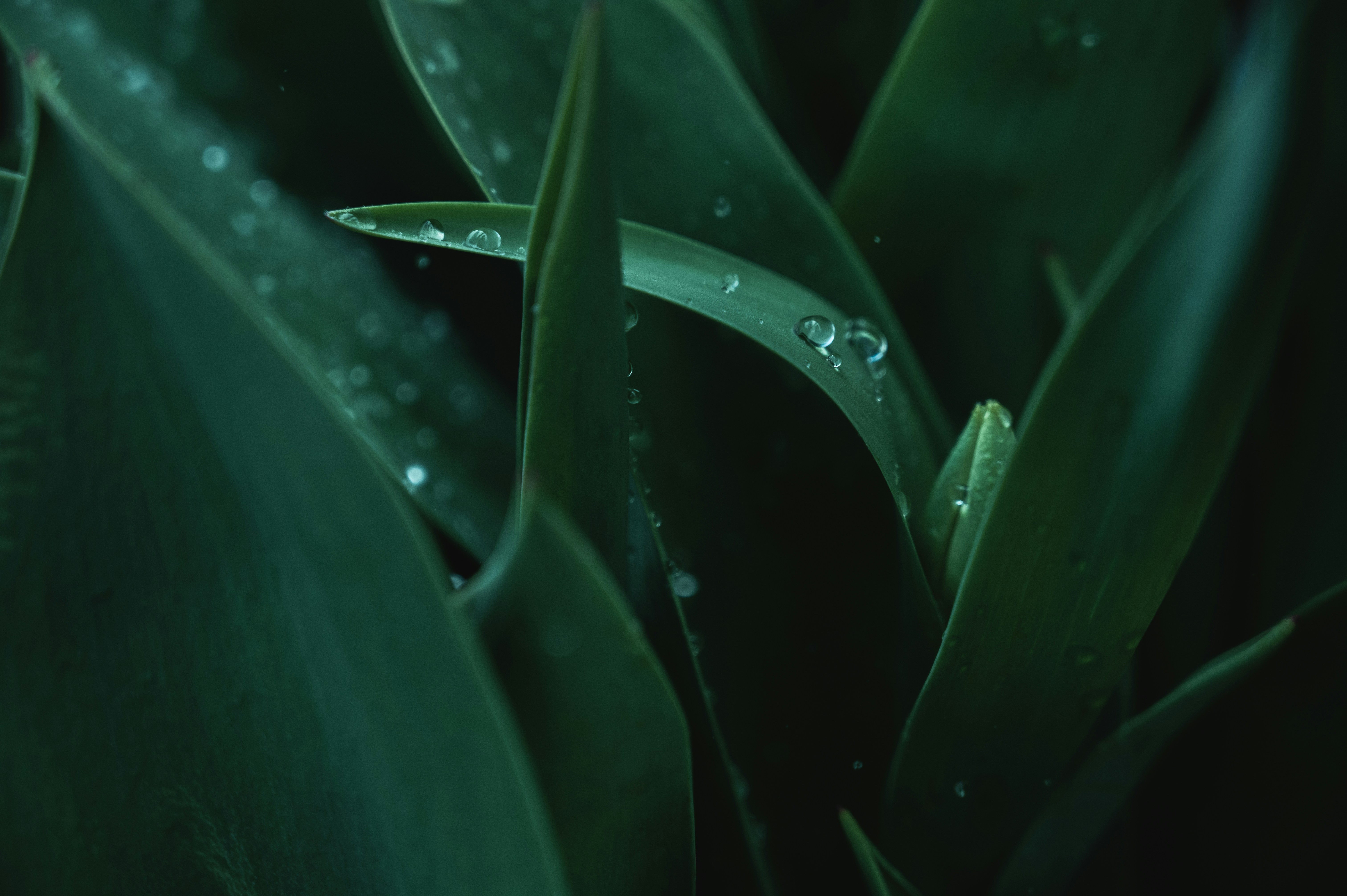 Photo by ryunosuke_kikuno