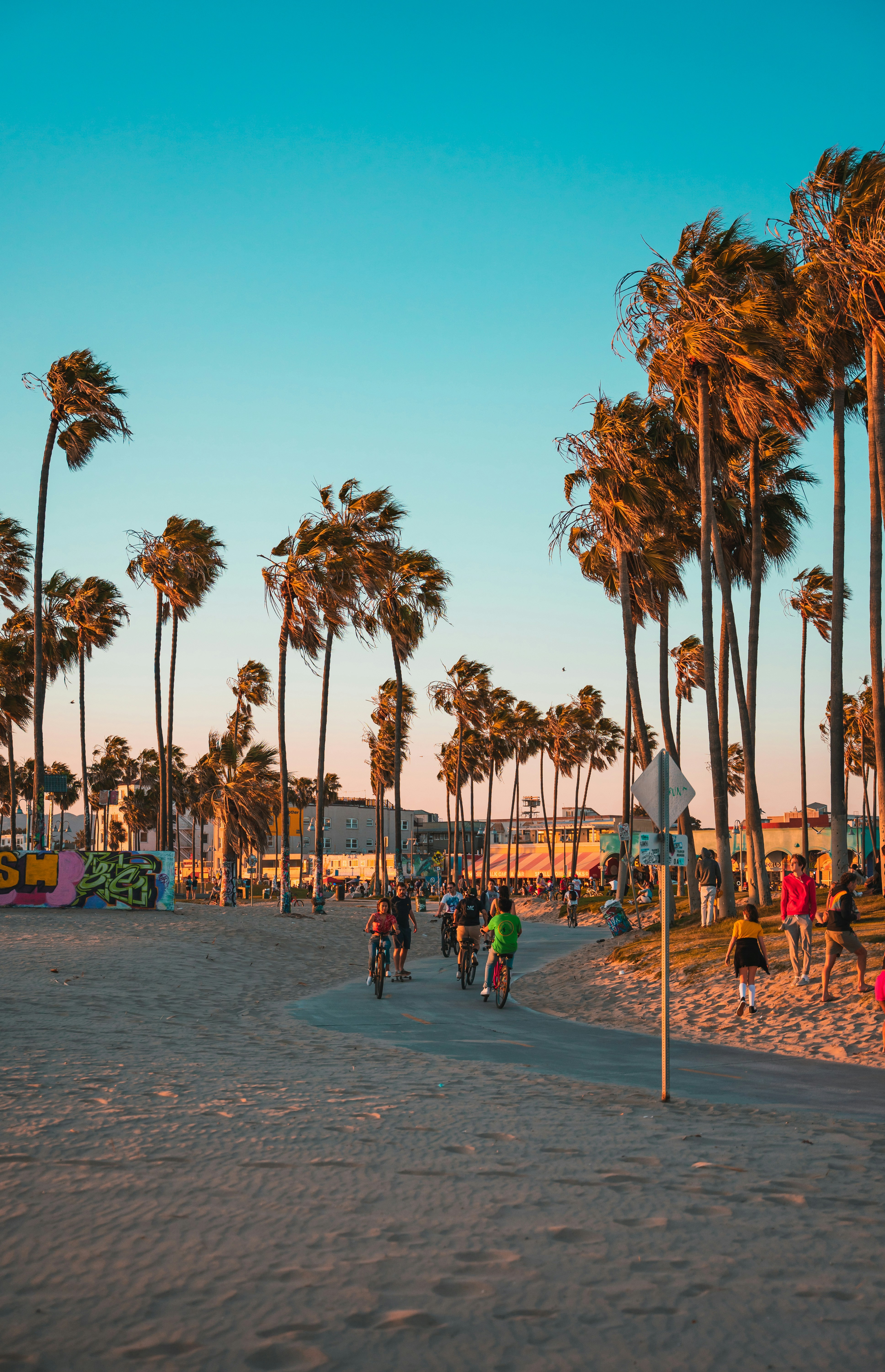 people walking on park during daytime