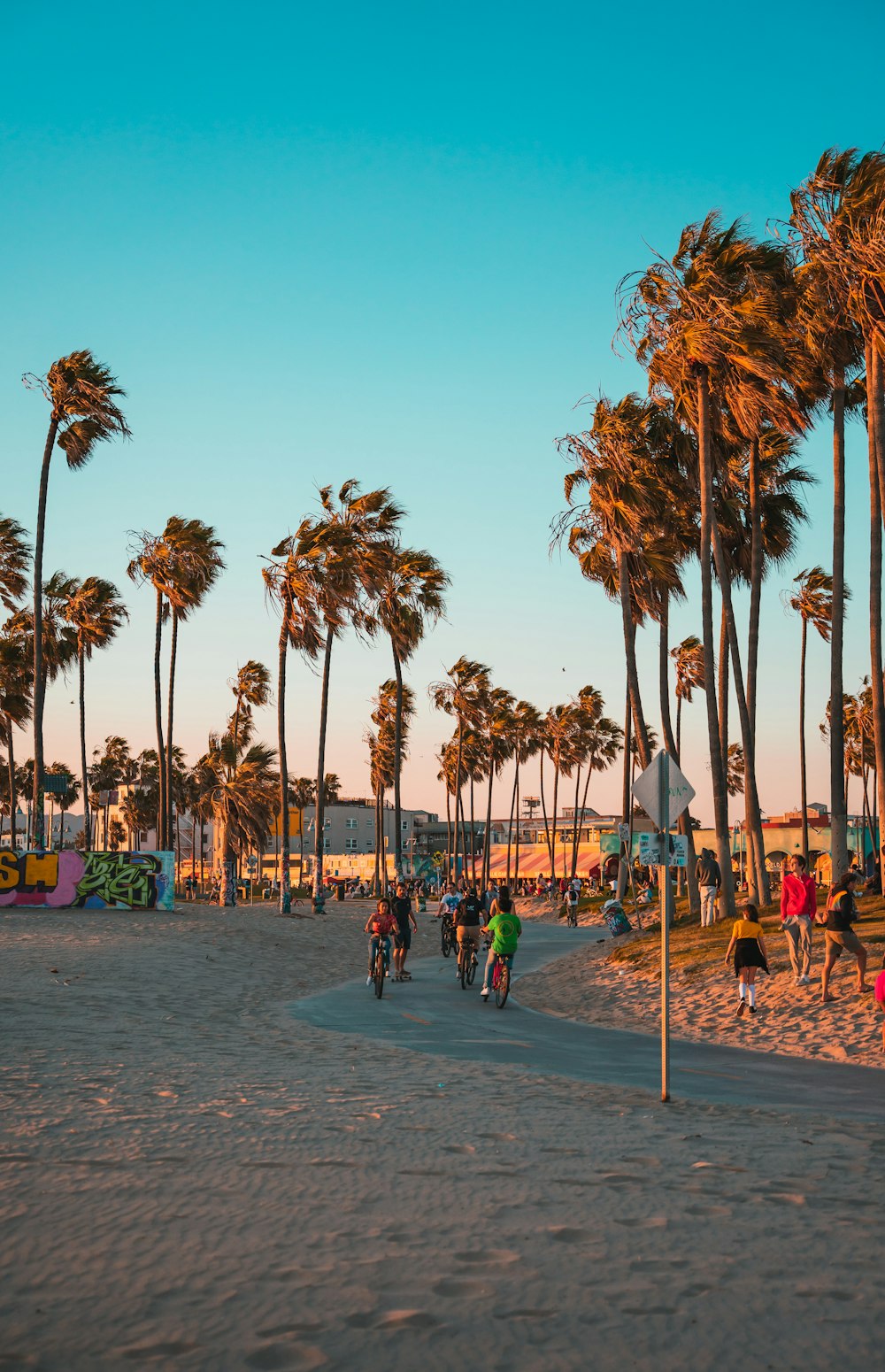 people walking on park during daytime