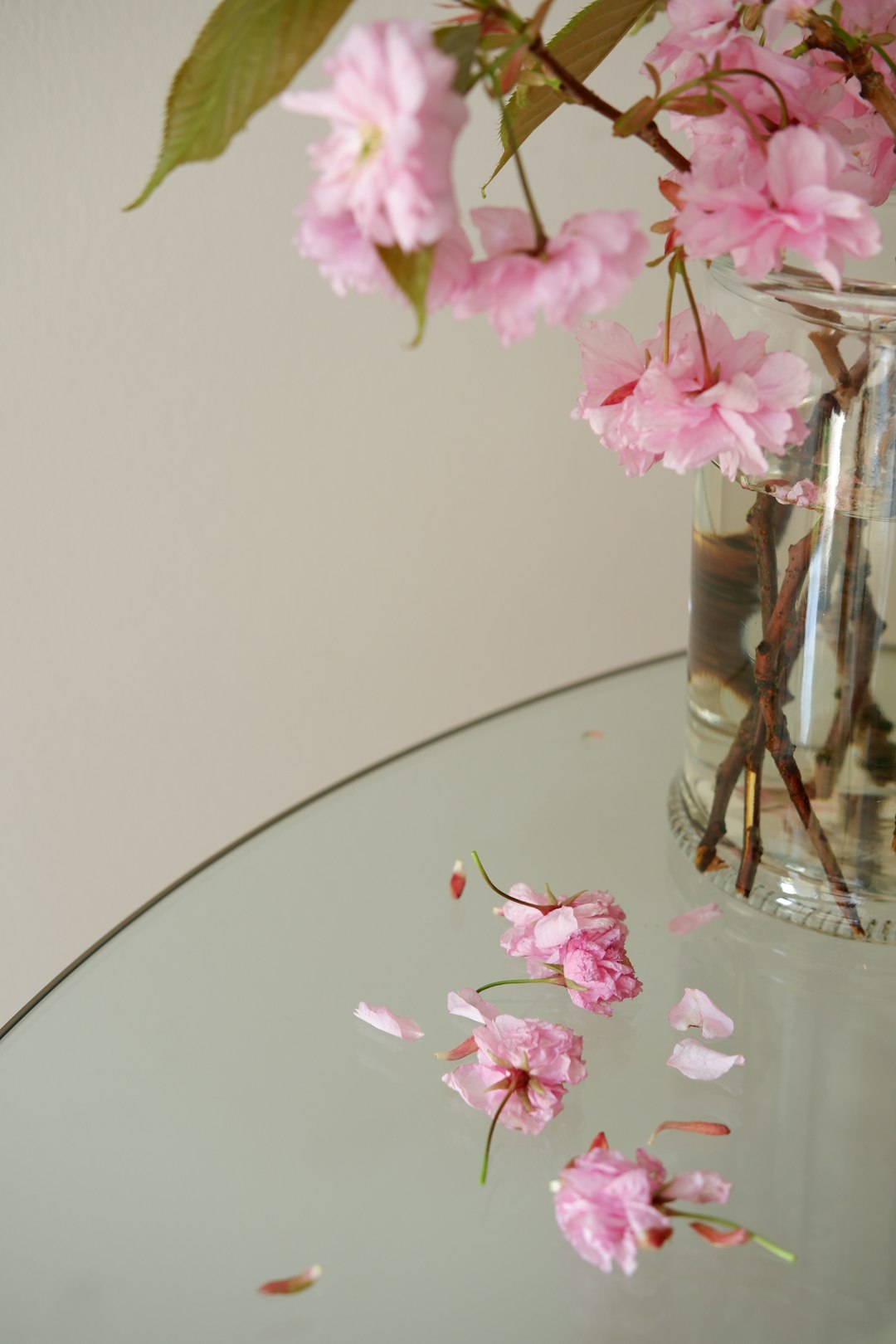 pink flowers in clear glass vase