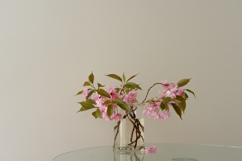 purple and white flowers in clear glass vase