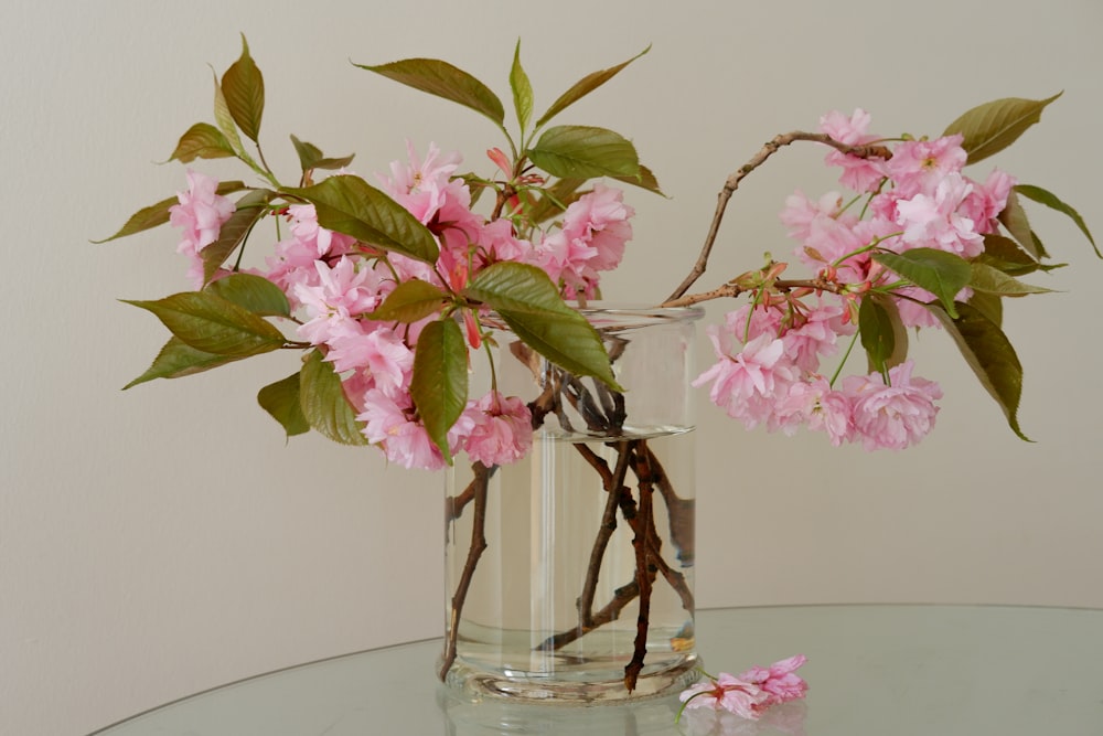 pink and white flowers in clear glass vase