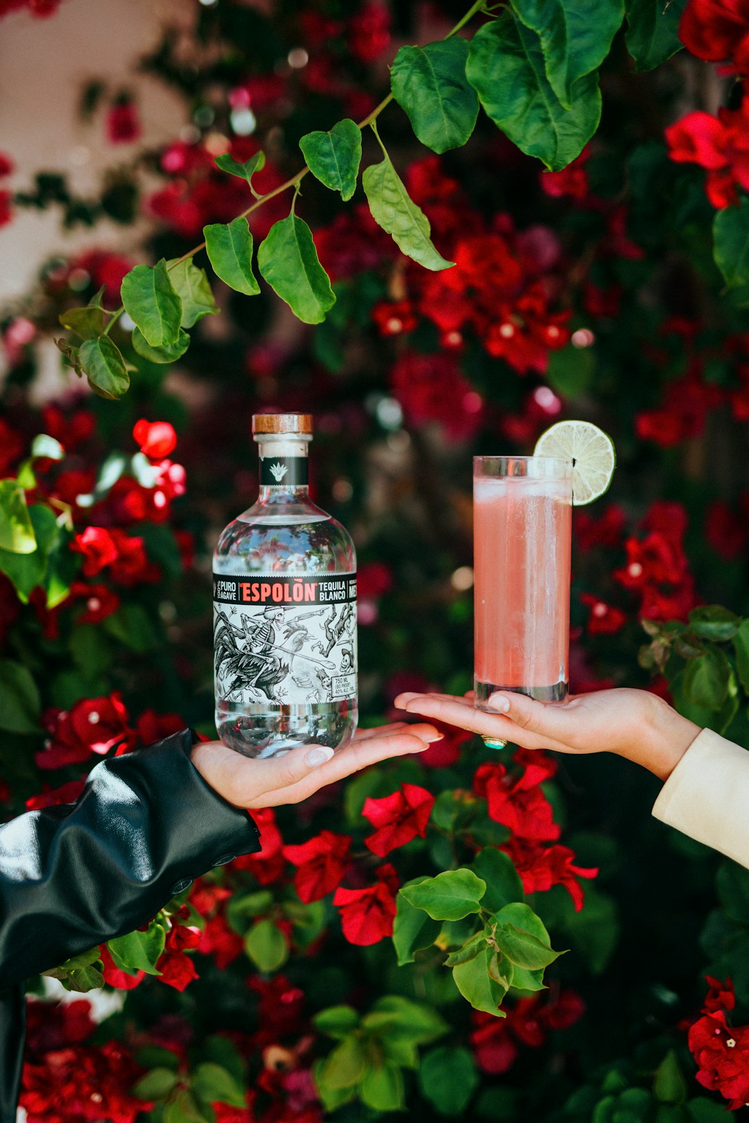 person holding Espolòn Tequila bottle 