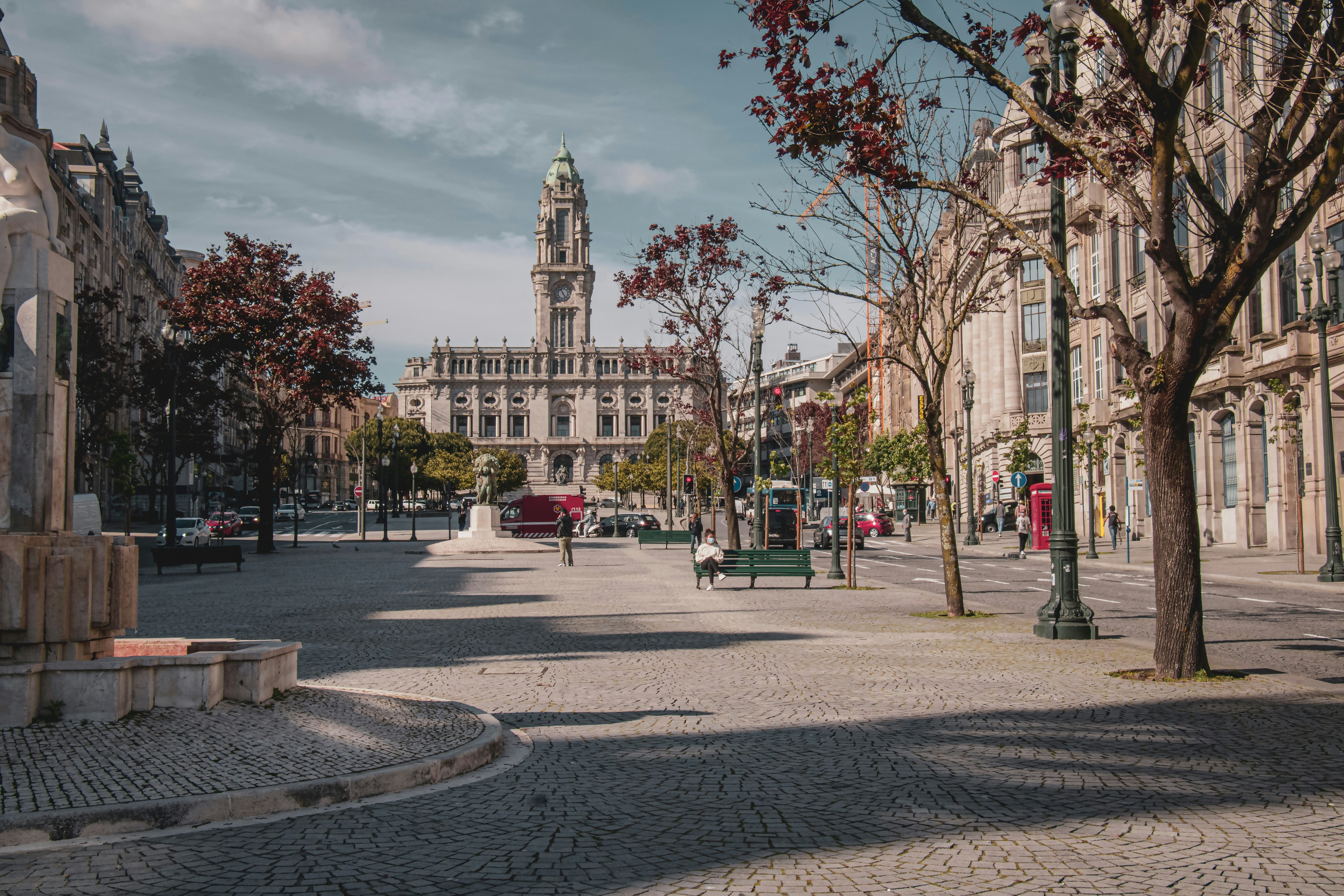 trip gallery picture