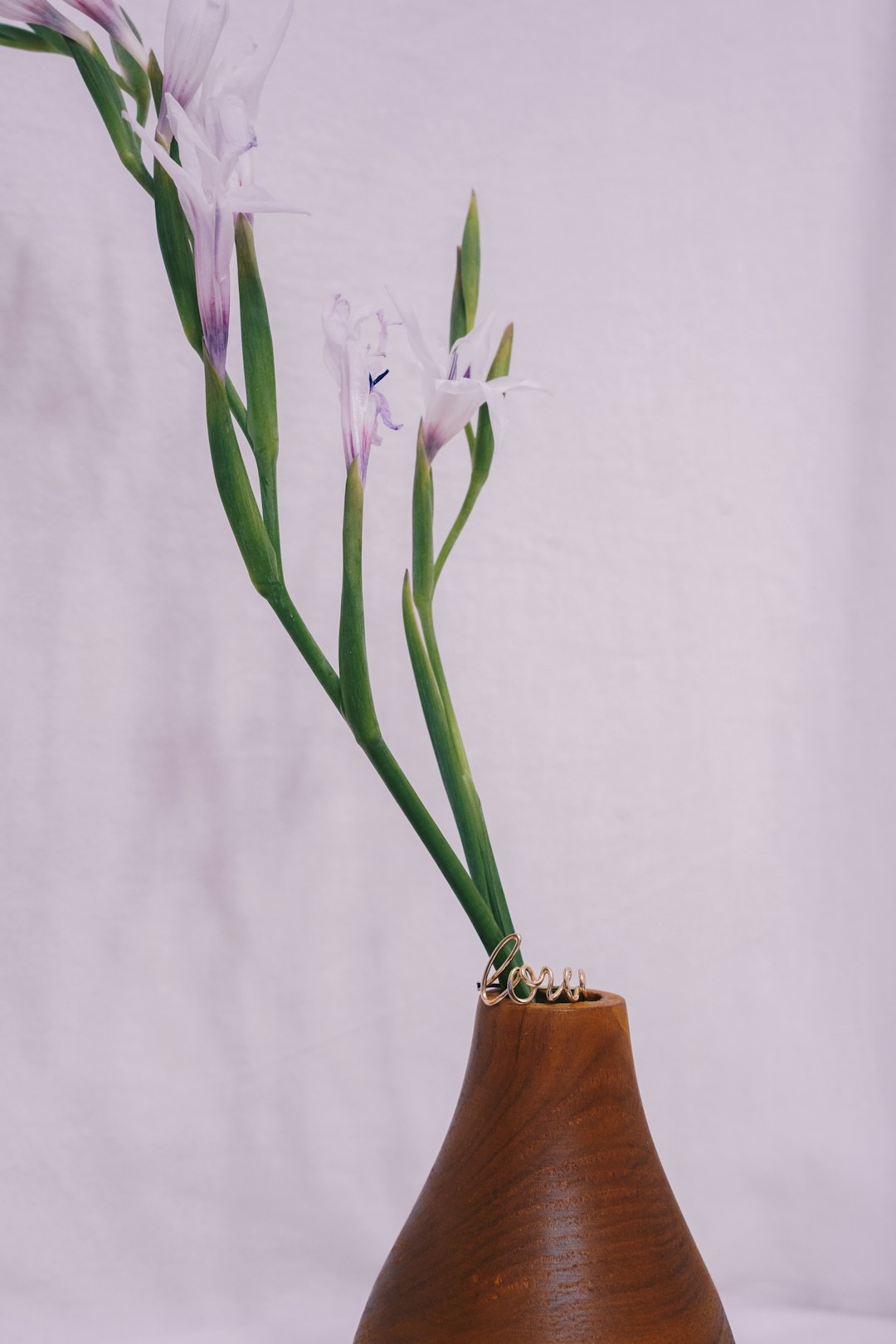 white flower on brown clay pot