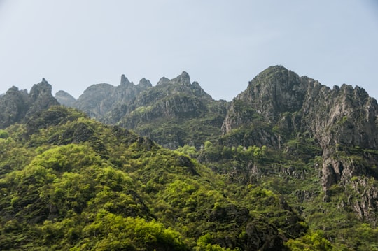 green trees on mountain during daytime in Syunik Armenia