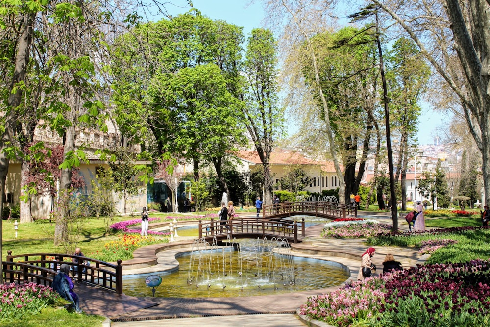 people walking on park during daytime