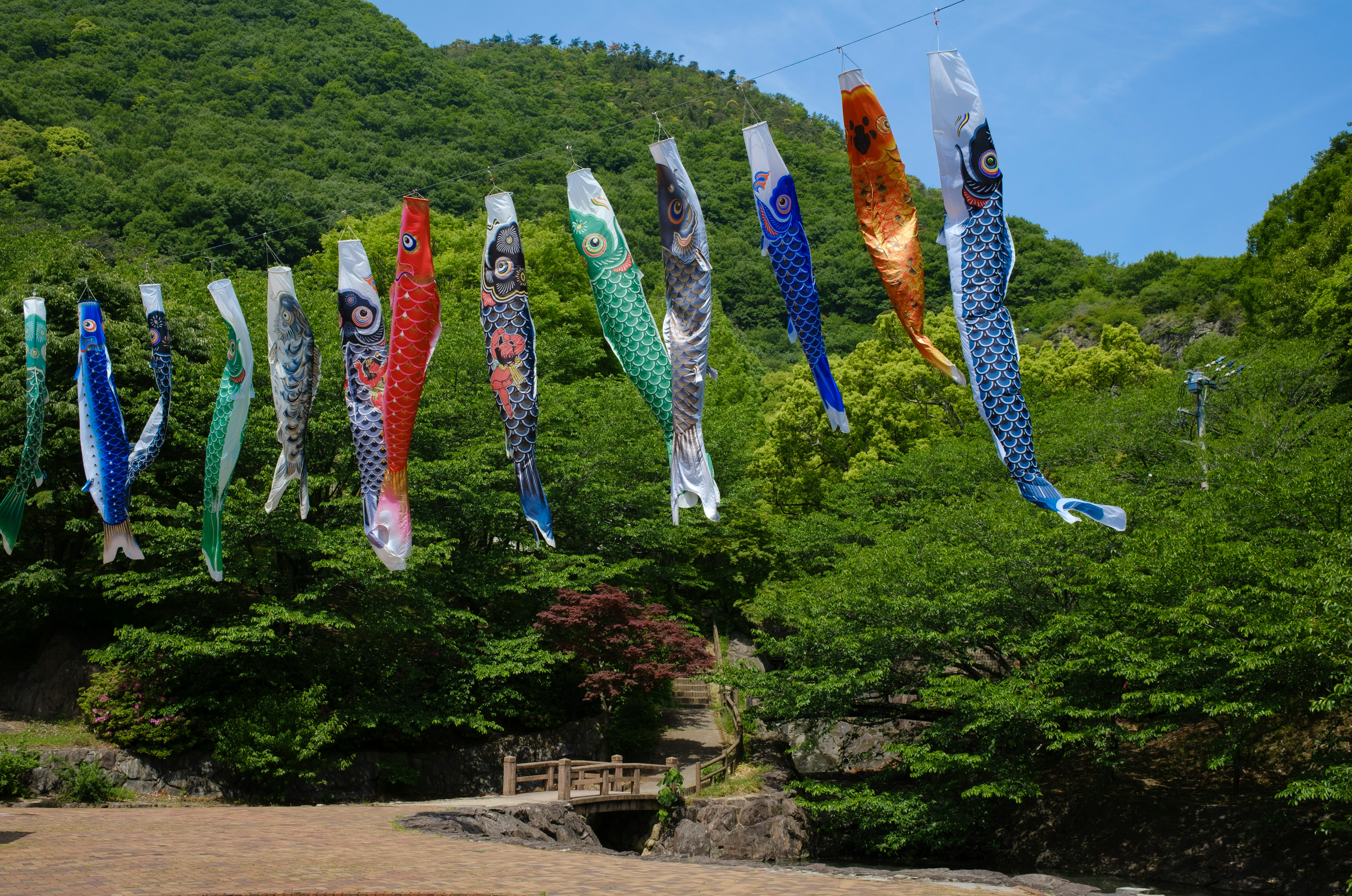 blue and red fish on green grass field