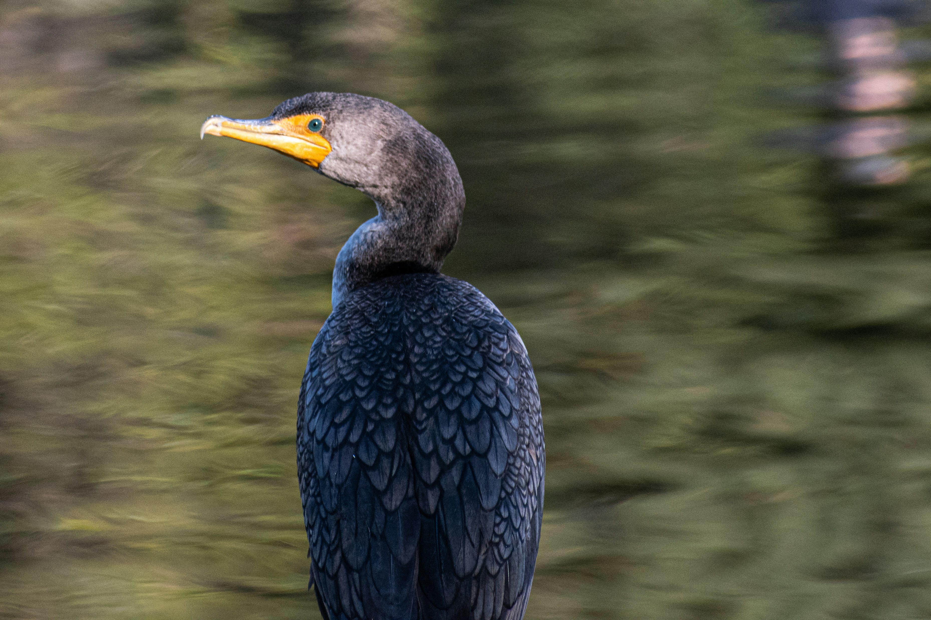 Photo by elisastonephotography