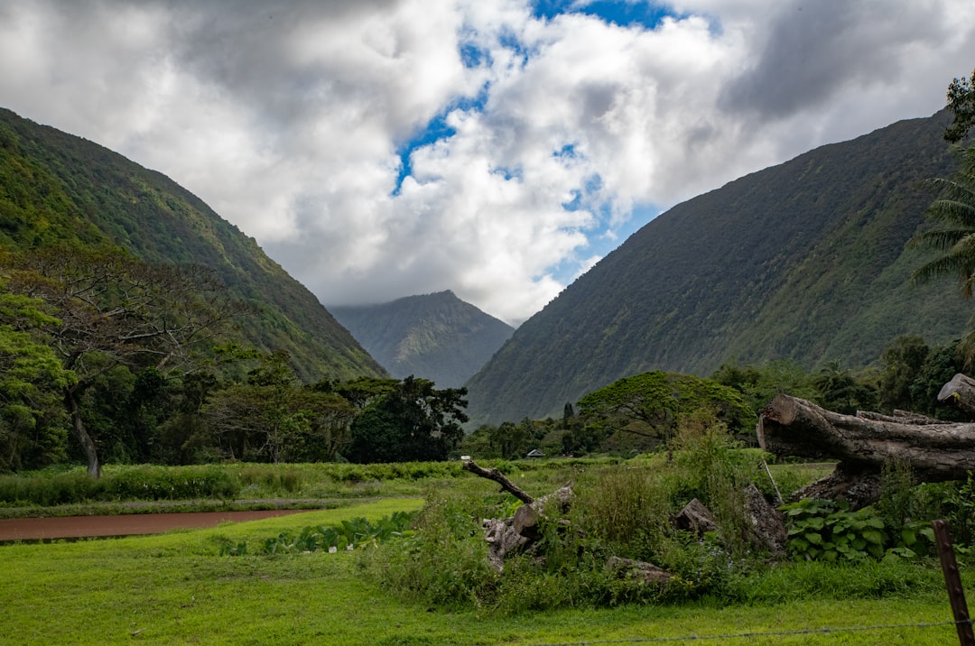 green grass field near mountain under cloudy sky during daytime