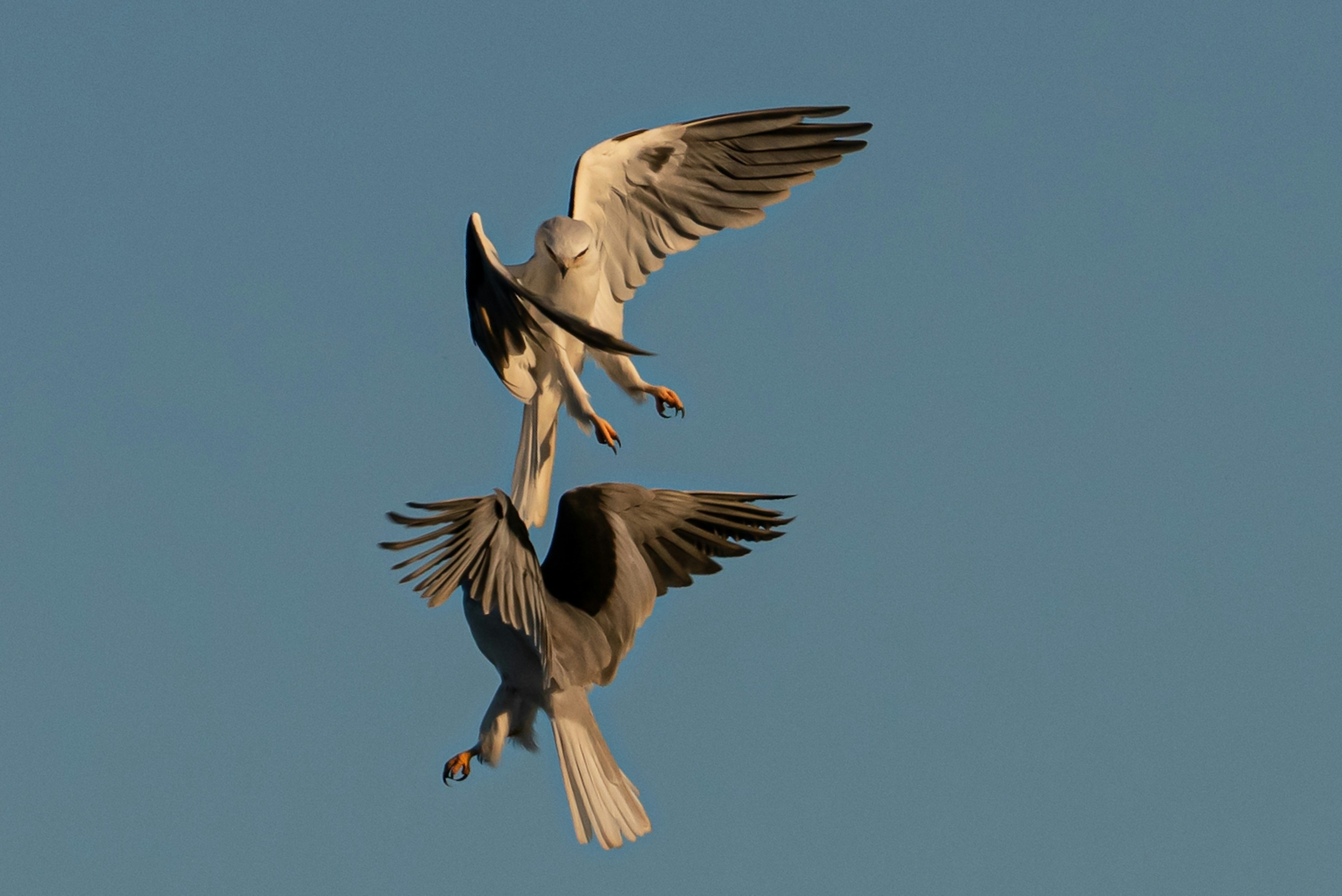 Photo by elisastonephotography