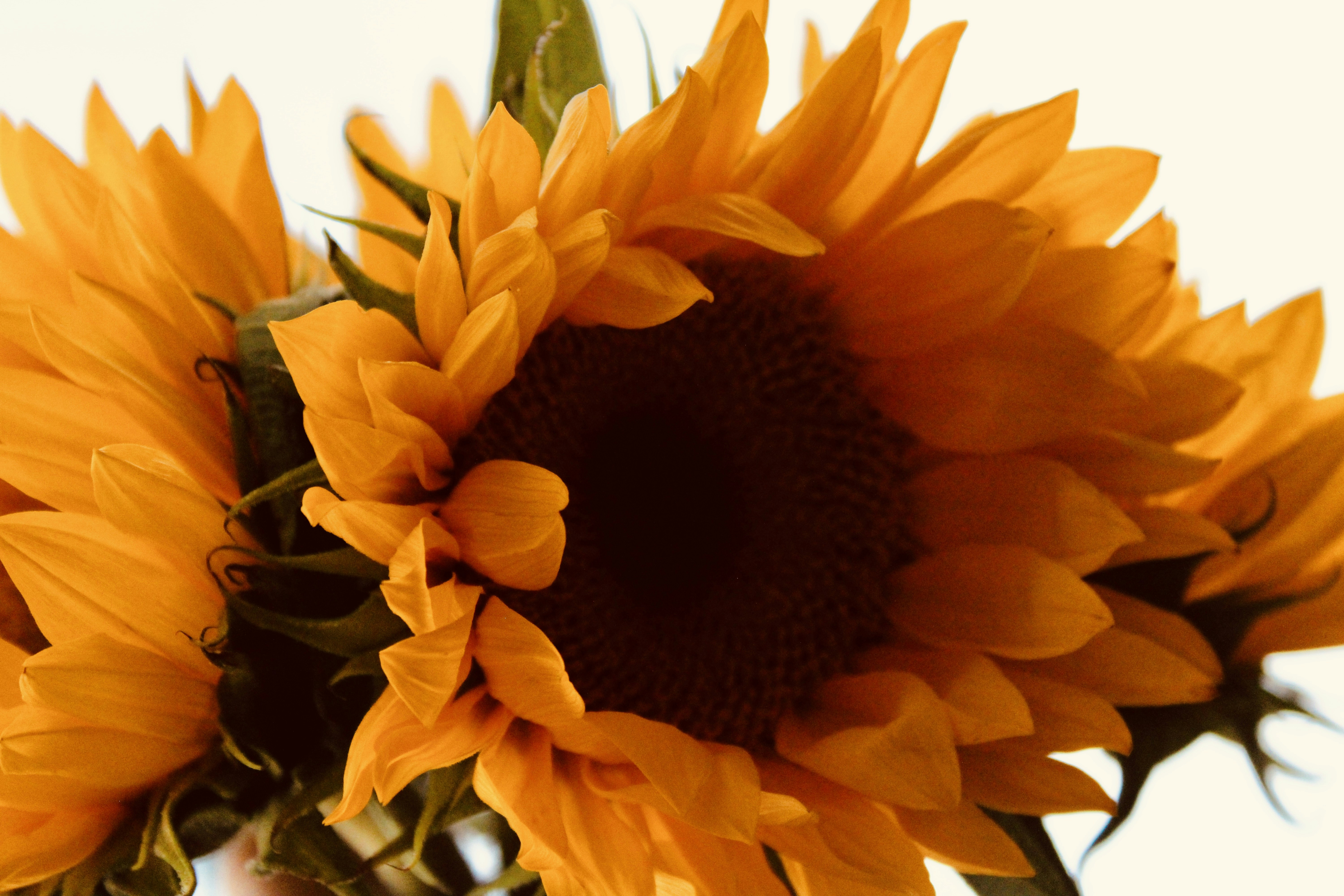 Photo by anwphotography14