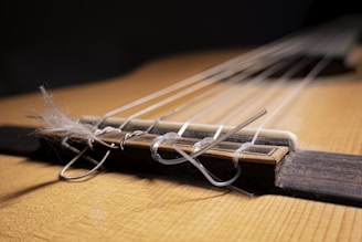 Close-up of the guitar bridge and strings showing fine craftsmanship and design.
