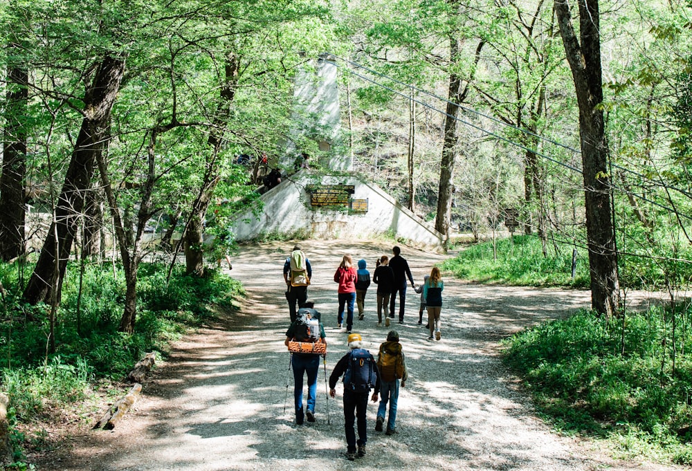 people walking on pathway between trees during daytime