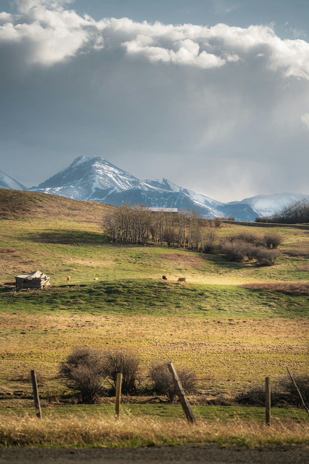 campo de hierba verde cerca de la montaña bajo nubes blancas durante el día