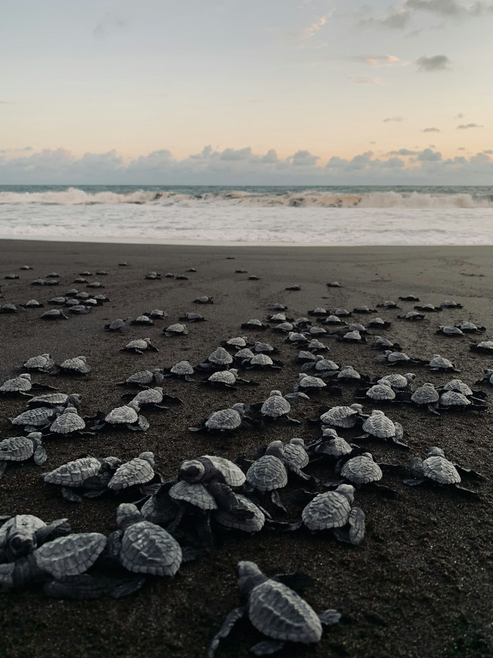 gray stones on seashore during daytime