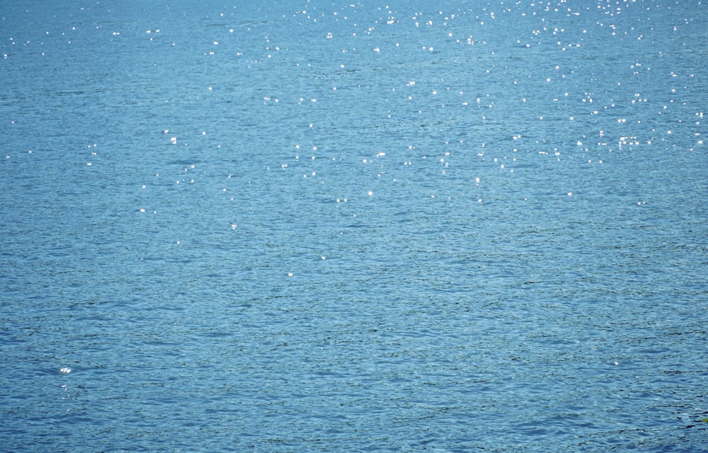 blue body of water during daytime