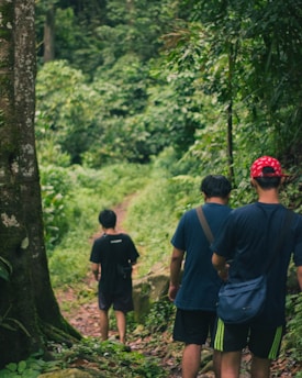 Three people are walking along a lush, green forest trail. The path is narrow and surrounded by dense foliage and tall trees. One person wears a red hat with white spots and has a blue sling bag, while the others are dressed in casual dark attire. The setting feels calm and peaceful, suggestive of a leisurely hike or nature walk.