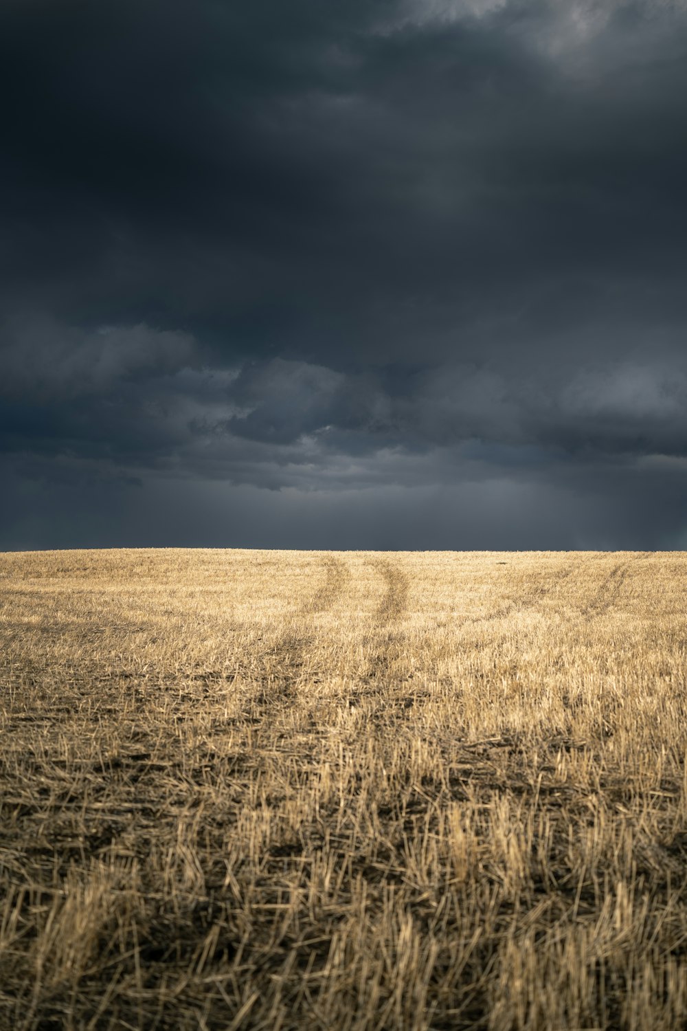 campo de grama marrom sob nuvens cinzentas