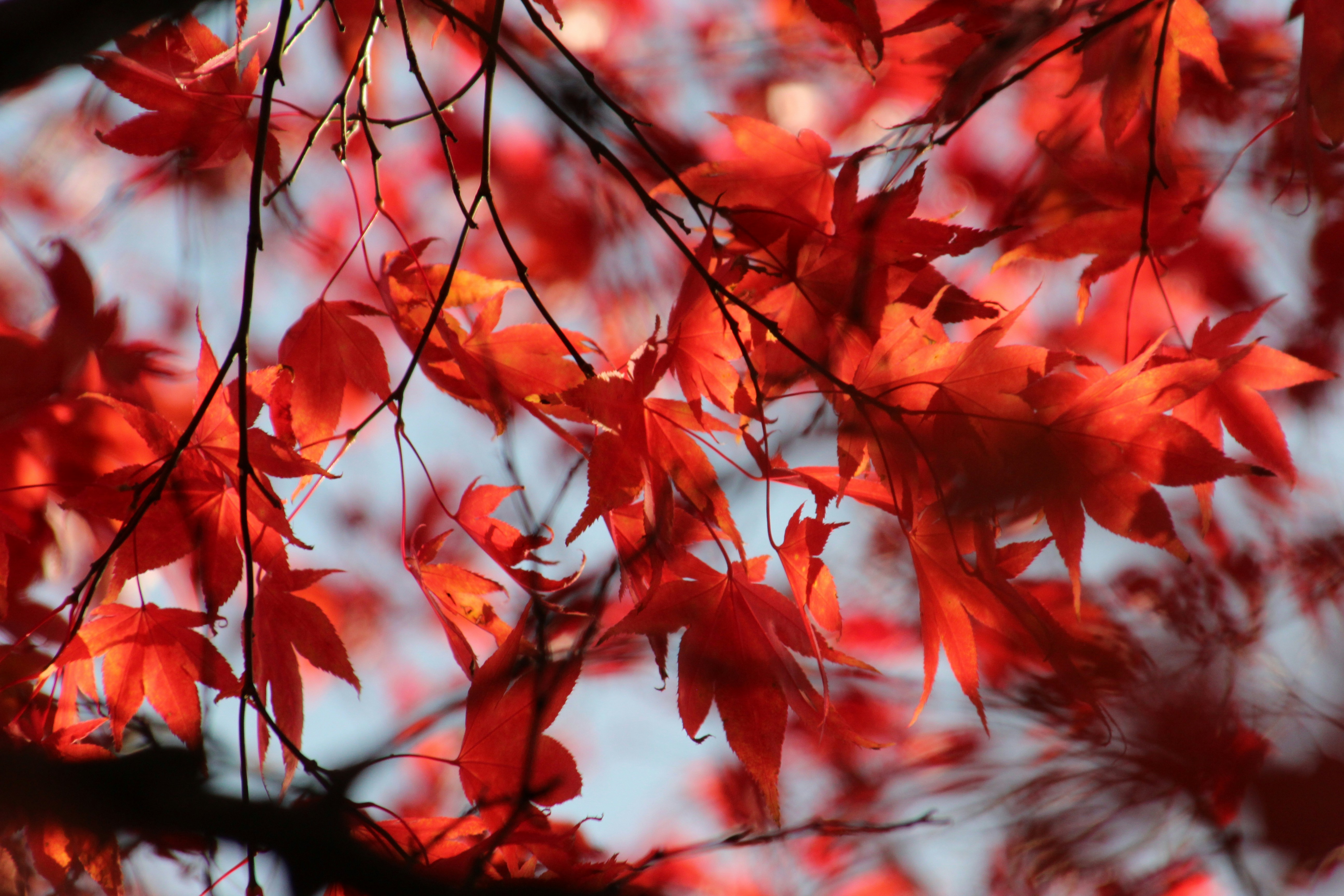 Photo by fruehlingskind