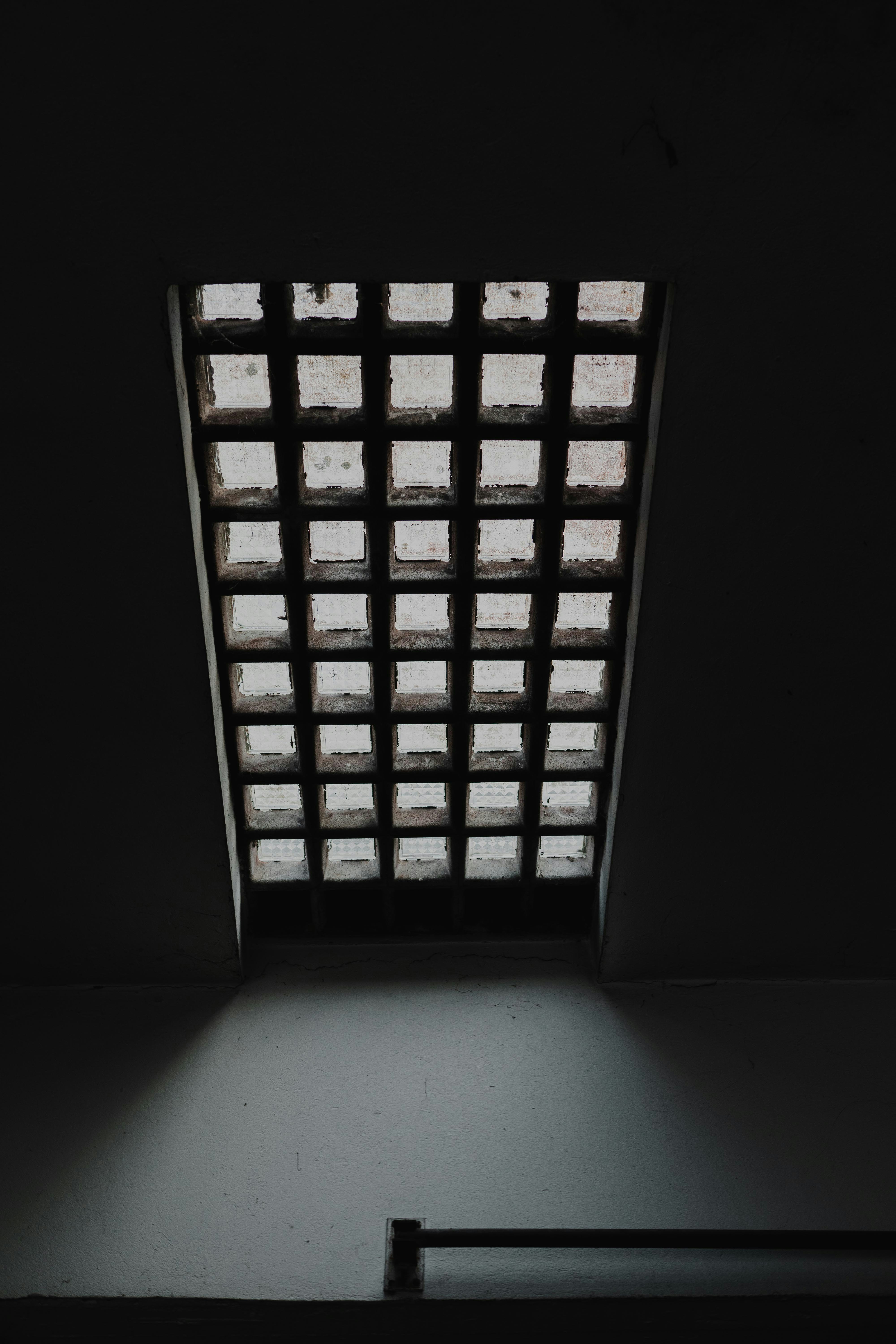 Photo by jakobustrop