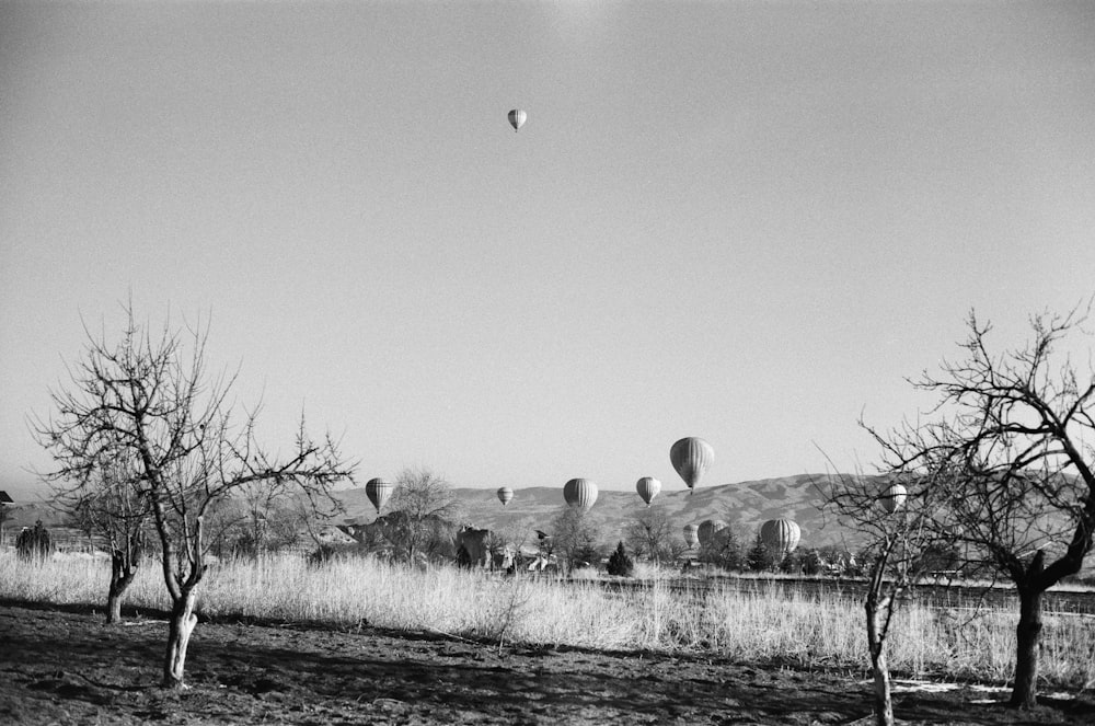 grayscale photo of grass field