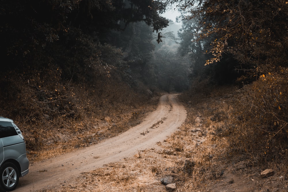 brown dirt road between green trees during daytime